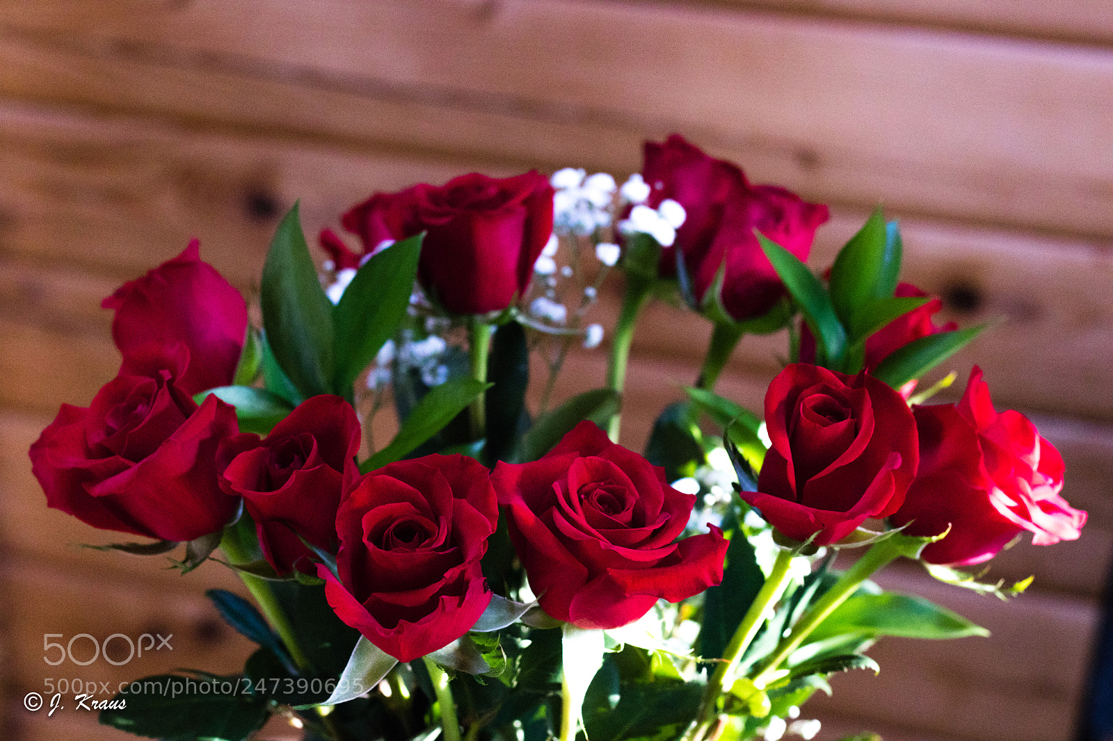 Canon EOS 80D sample photo. Rosen img 3350 photography