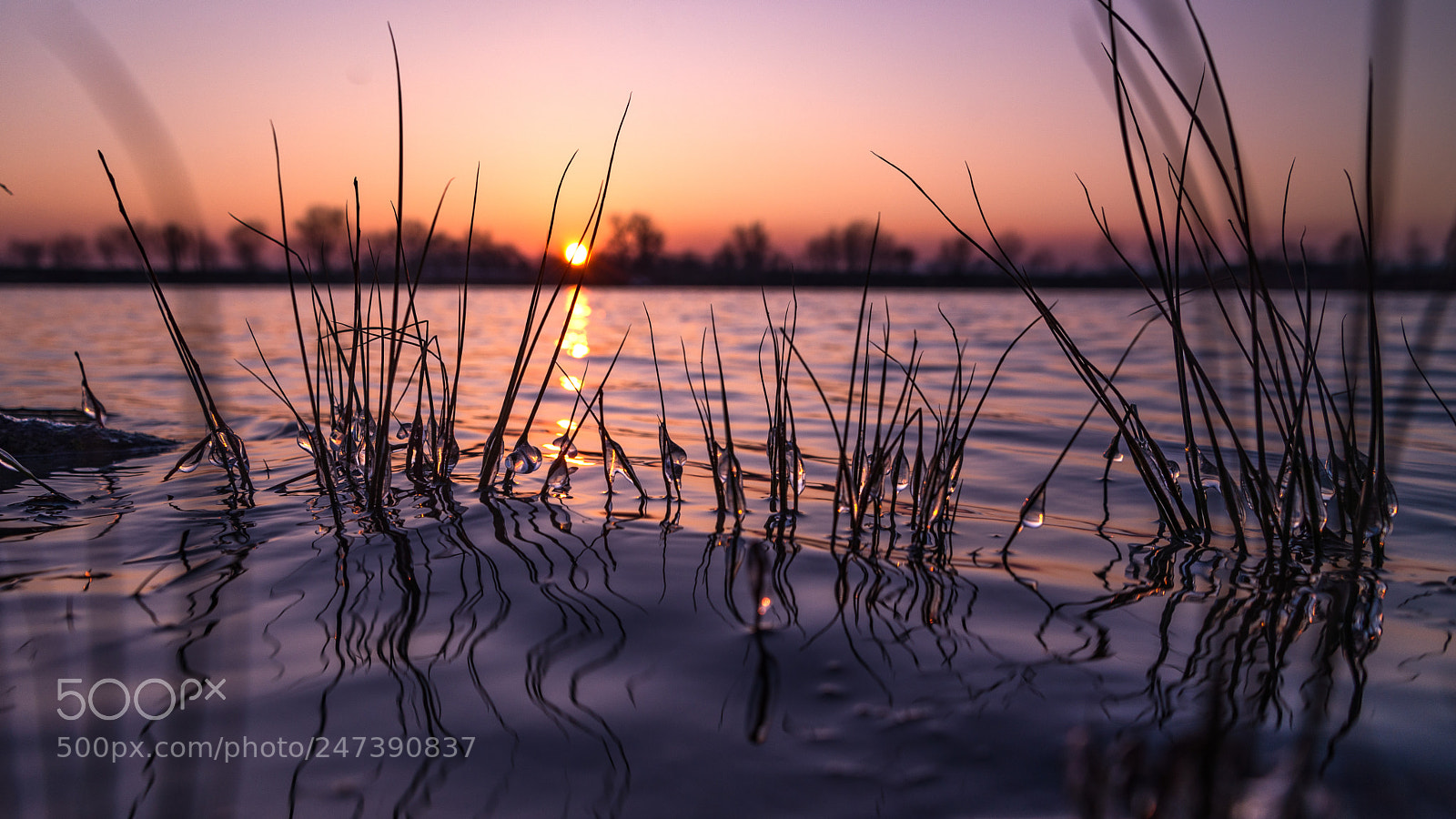 Nikon D610 sample photo. Winter sunset photography