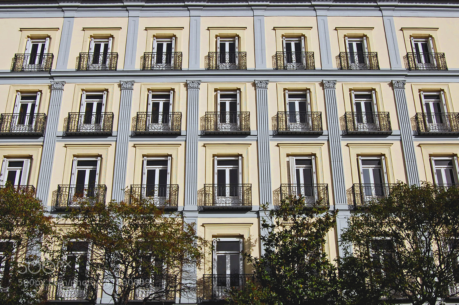 Nikon D40 sample photo. Paseo de la castellana photography