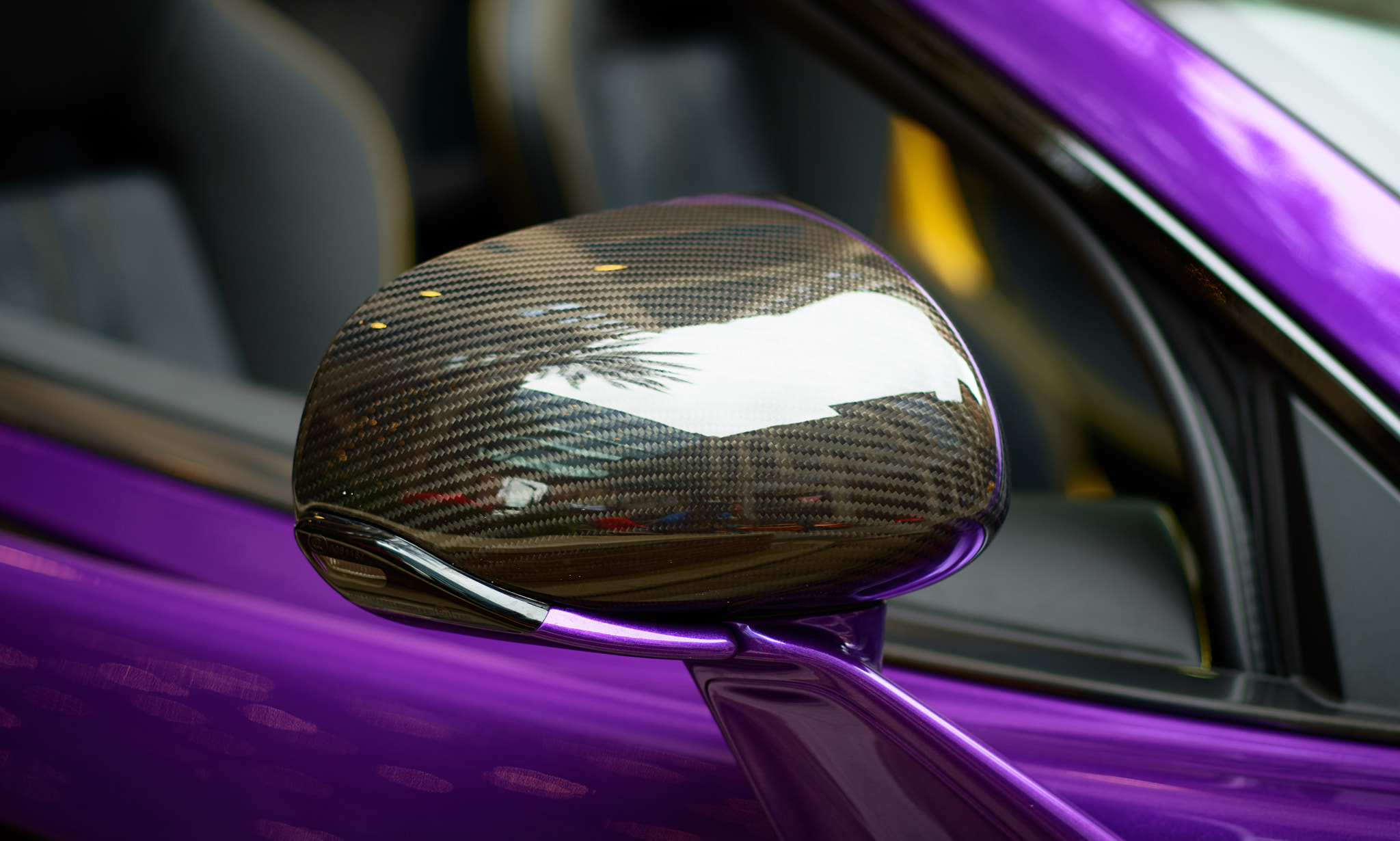 Phase One IQ3 100MP Trichr sample photo. Cf photography