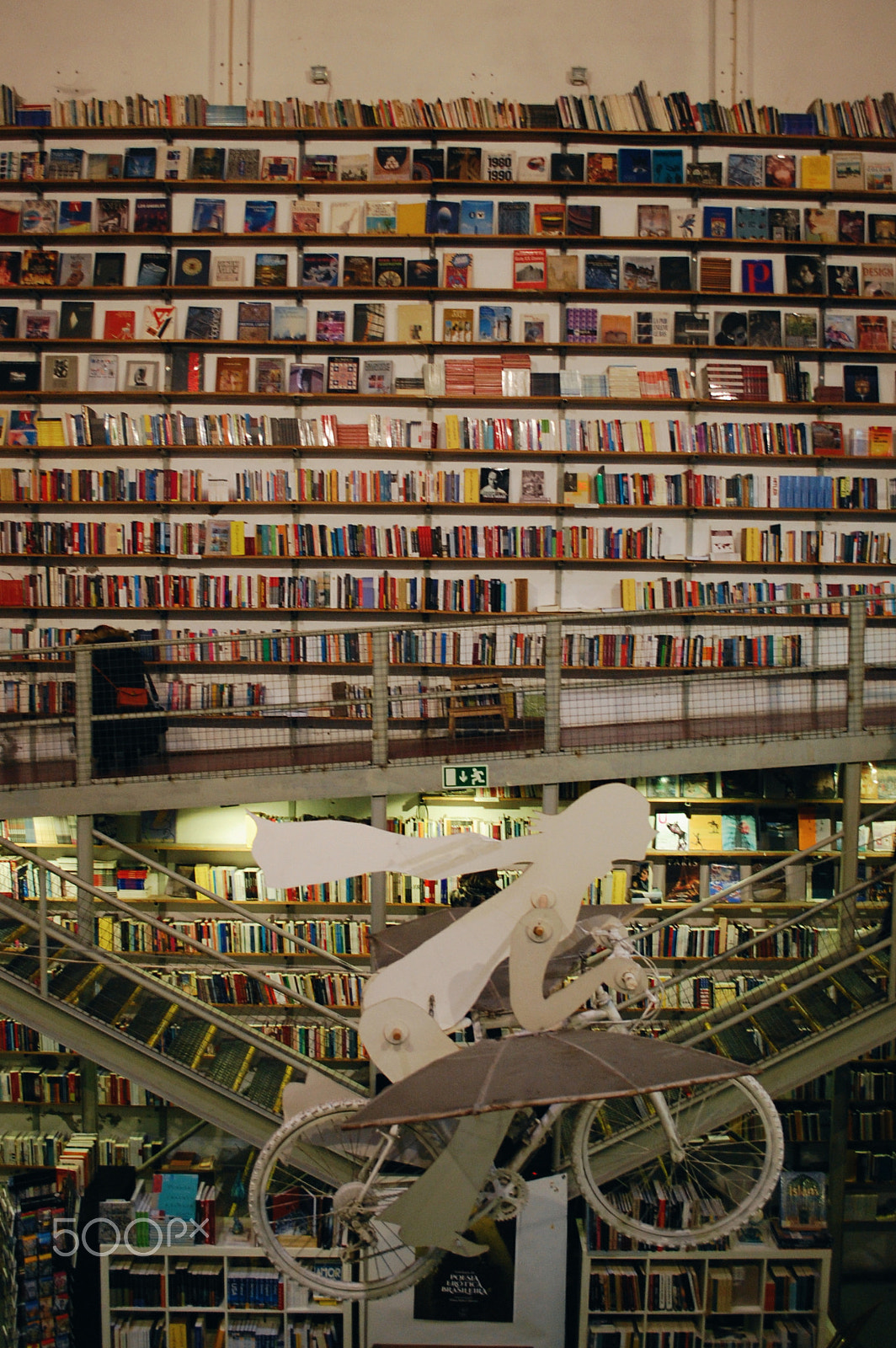 Nikon D40 sample photo. Library photography