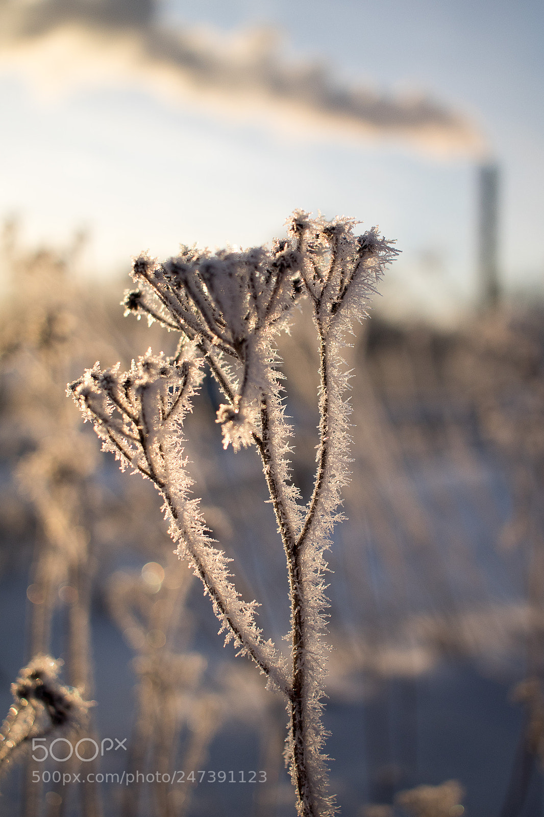 Canon EOS 760D (EOS Rebel T6s / EOS 8000D) sample photo. Årsta chimney photography