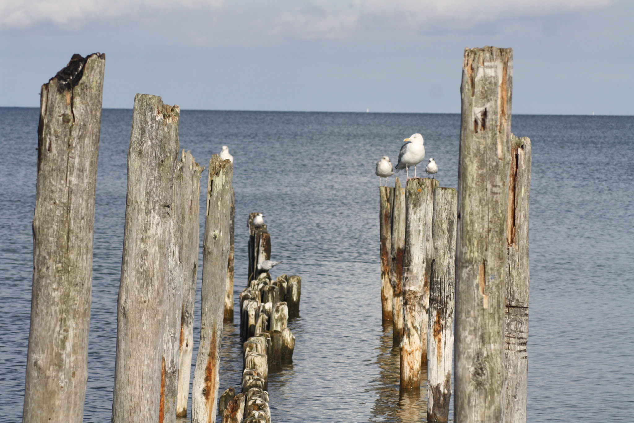 Canon EOS 1000D (EOS Digital Rebel XS / EOS Kiss F) sample photo. Ostsee photography