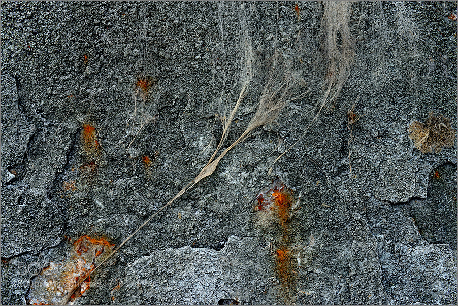 Nikon D610 sample photo. Surface photography