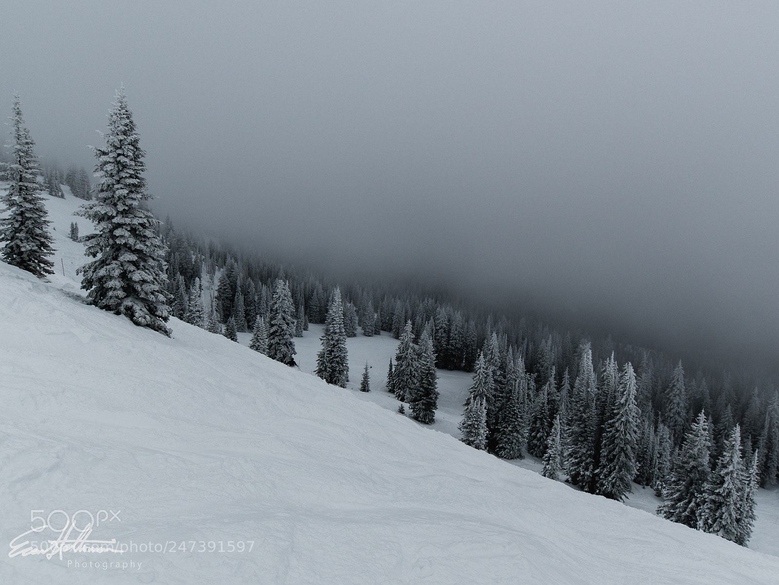 Nikon D7500 sample photo. Foggy morningside photography