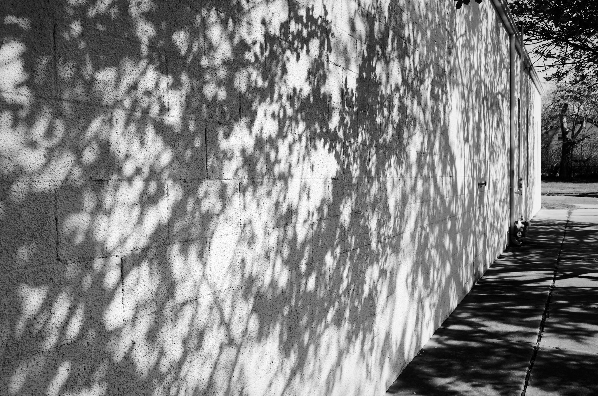 Sigma 17-50mm F2.8 EX DC OS HSM sample photo. These days you might feel a shaft of light make its way across your face photography