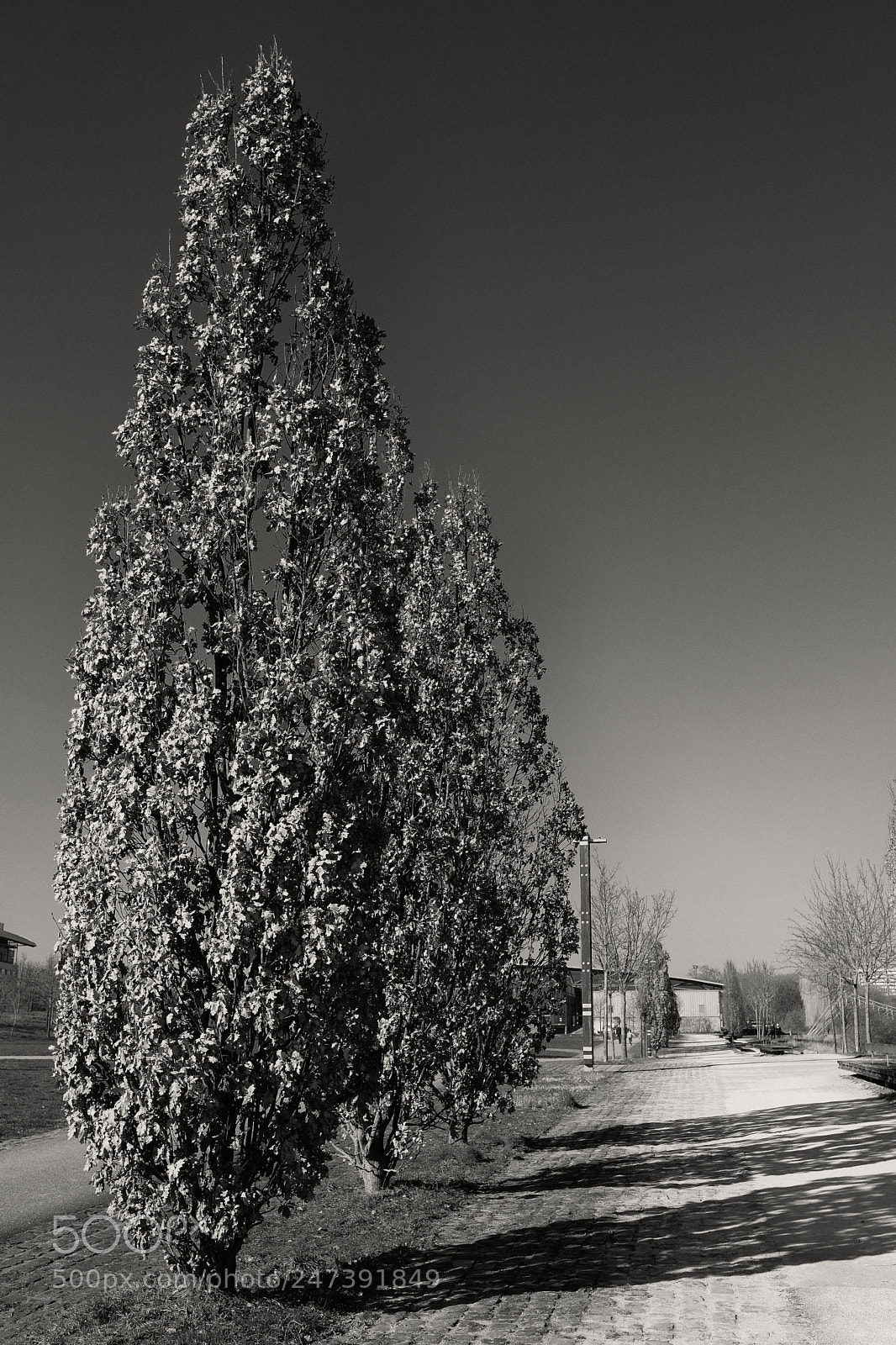 Fujifilm X-E3 sample photo. Untitled photography