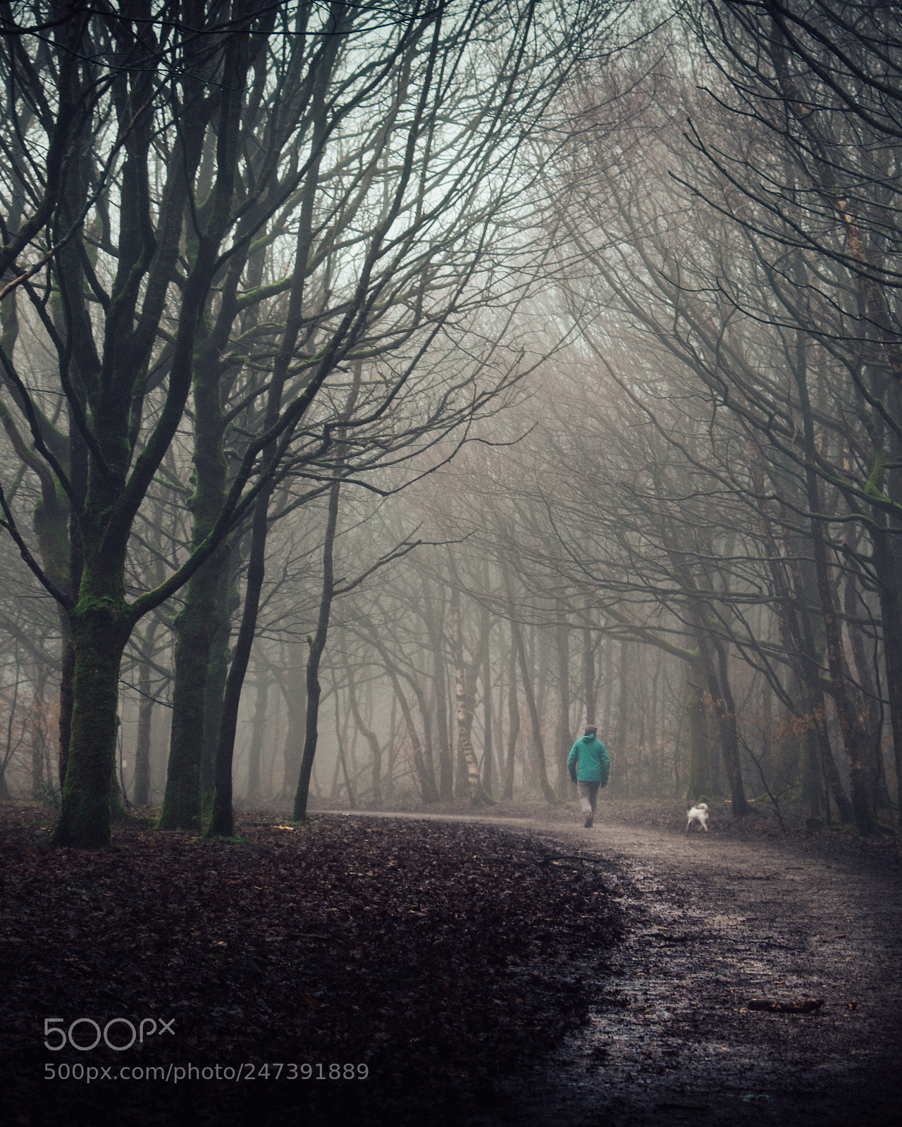 Fujifilm X-T10 sample photo. Walkies photography