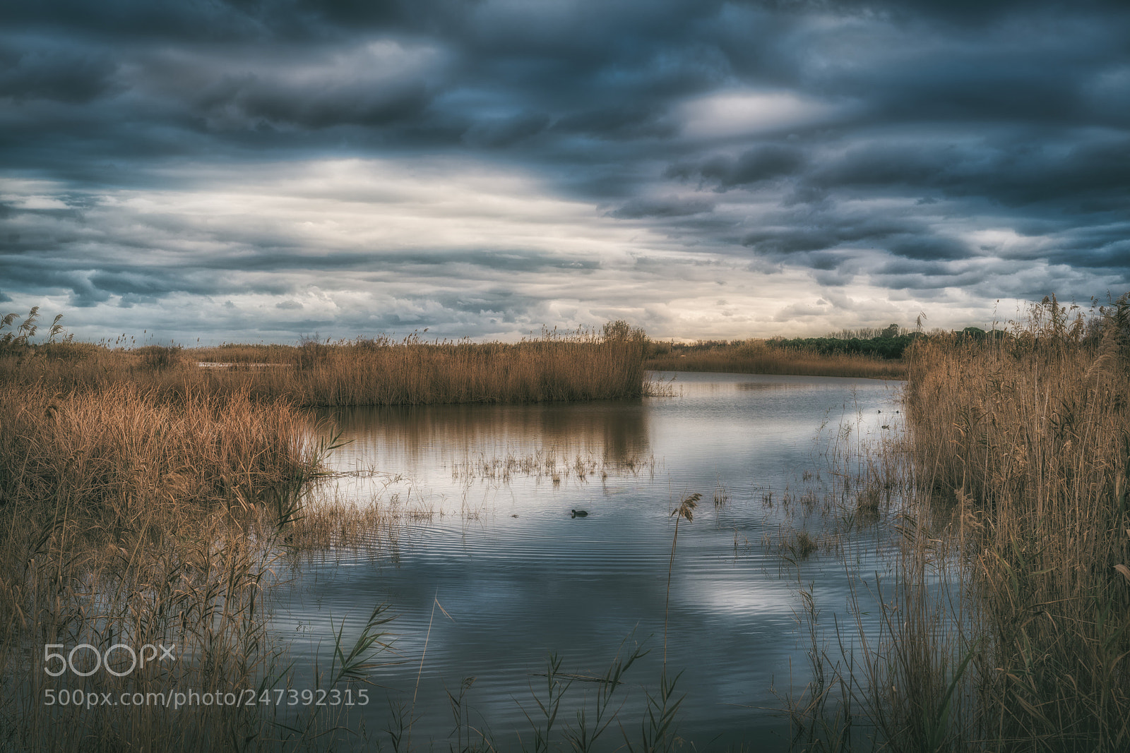 Sony a7R II sample photo. Aiguamolls del llobregat photography