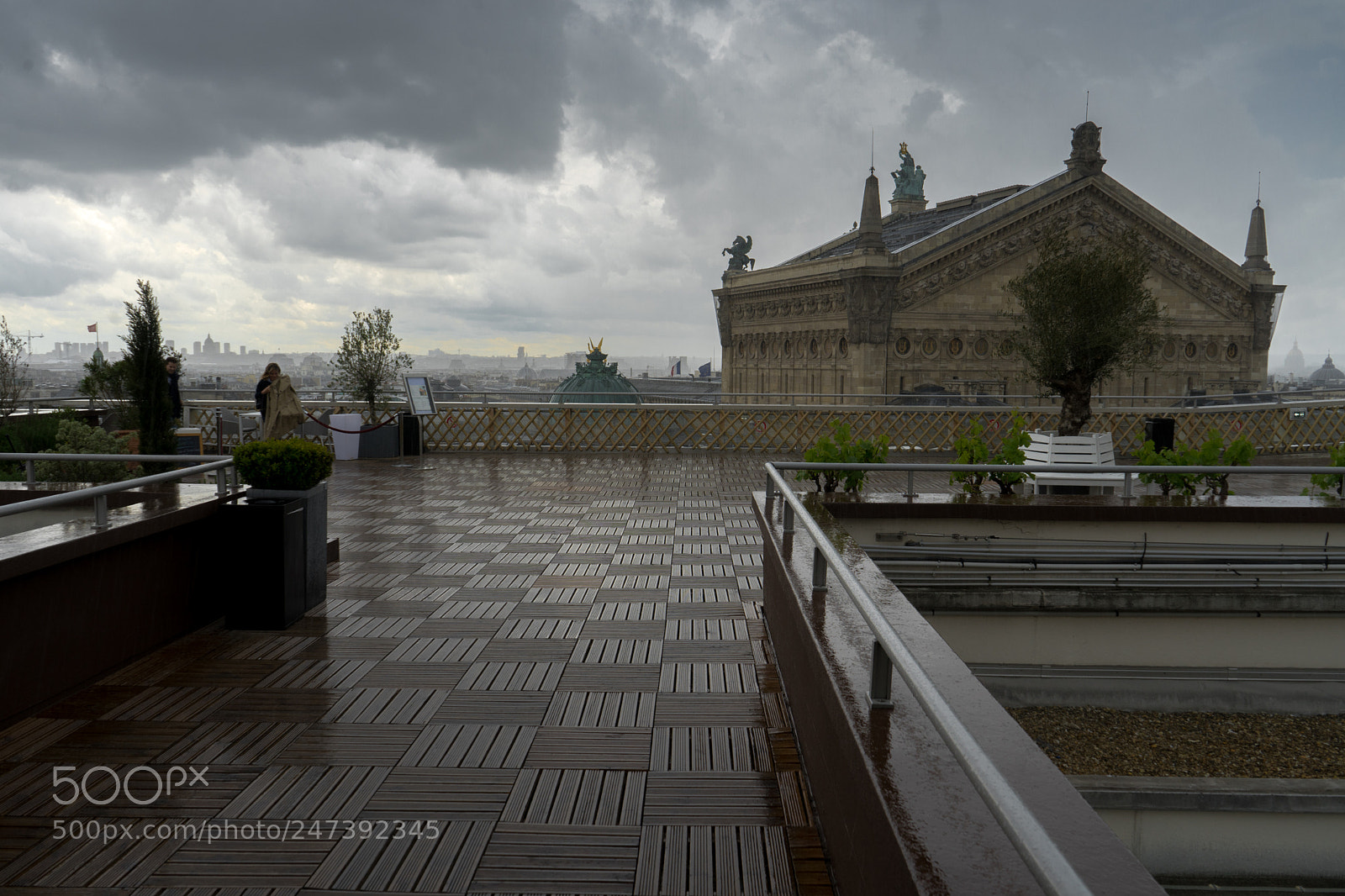 Sony a7 sample photo. Rain on the roof photography