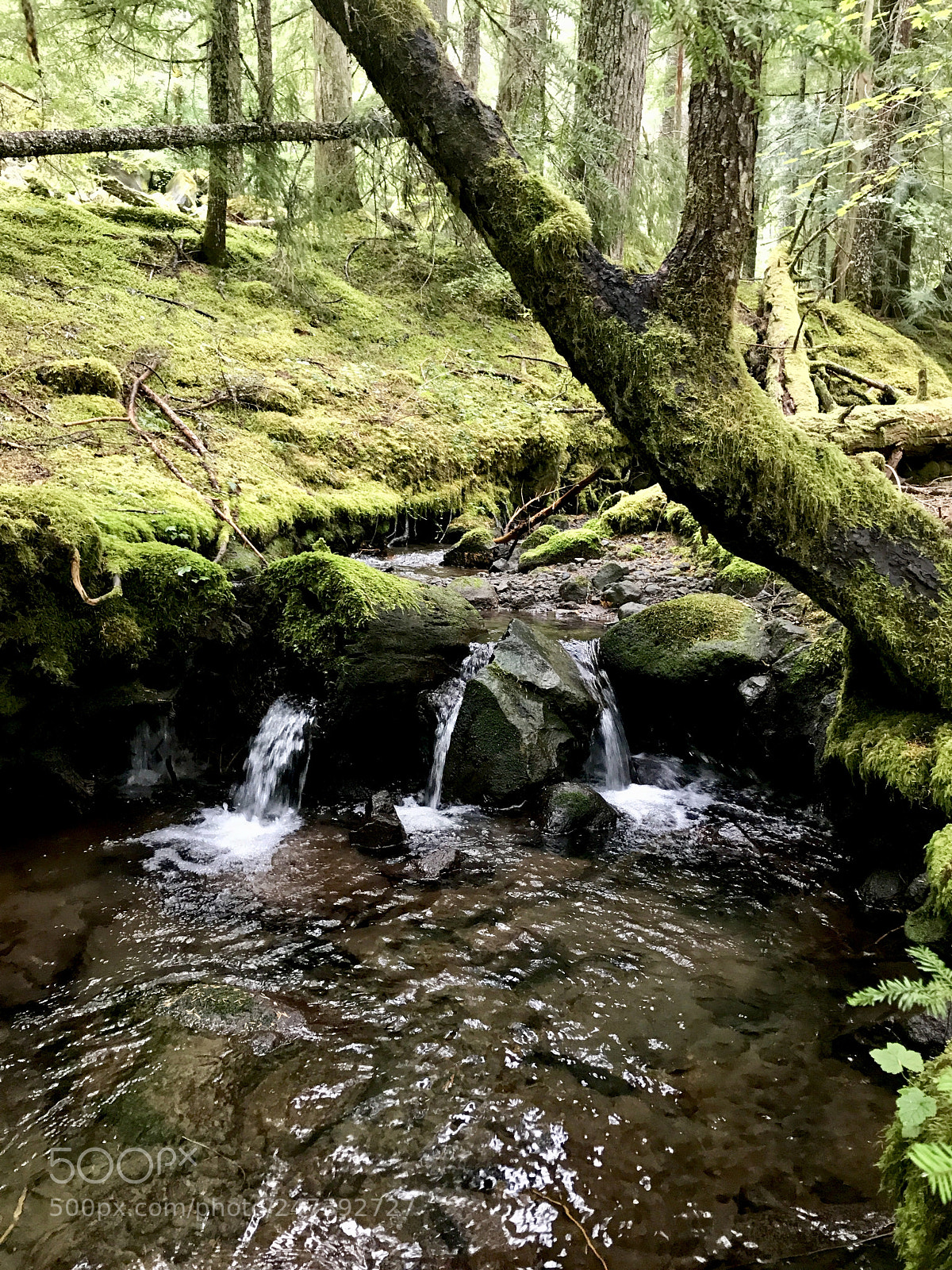 Apple iPhone 7 Plus sample photo. Ramona falls, or photography