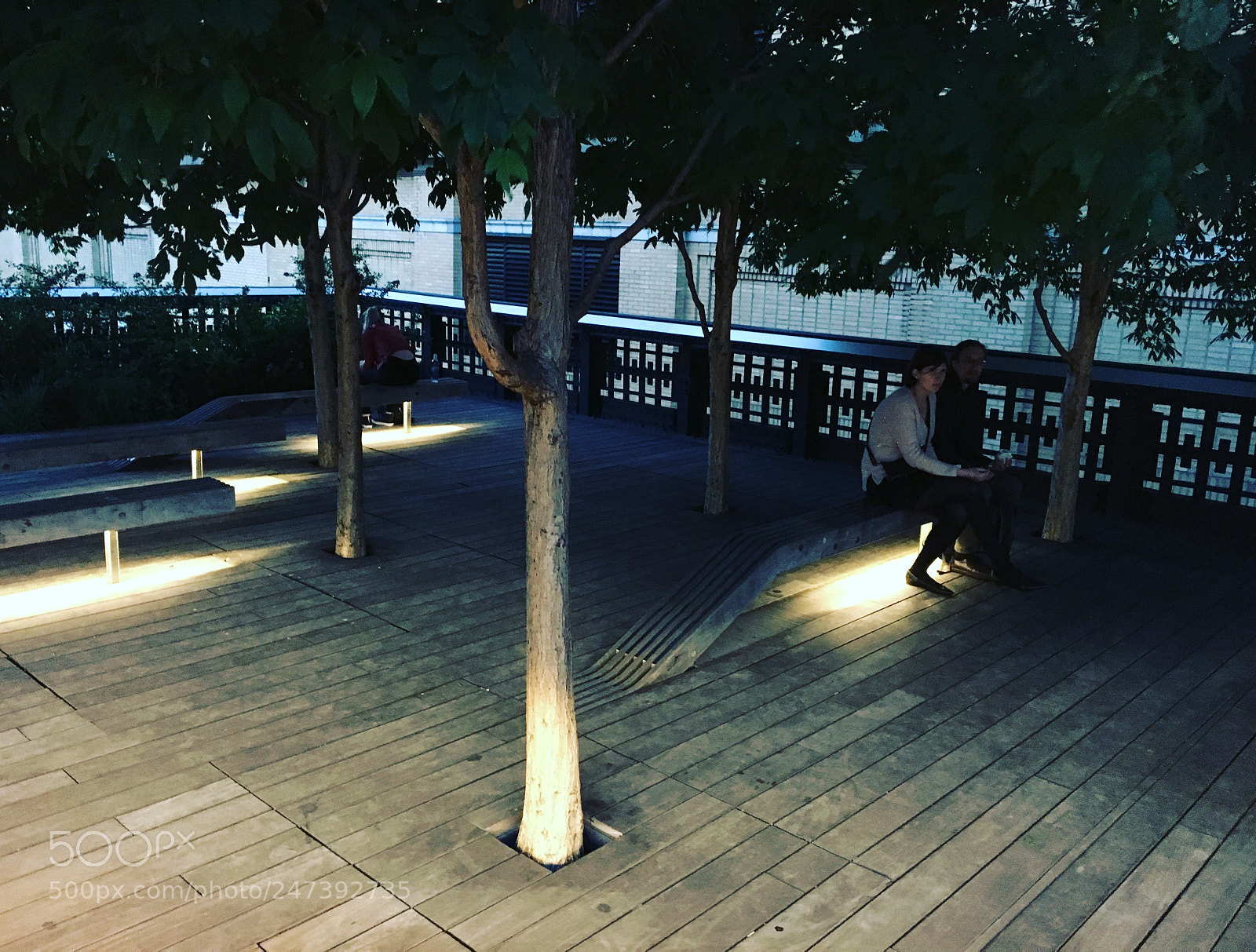 Apple iPhone 6s sample photo. Untitled photography