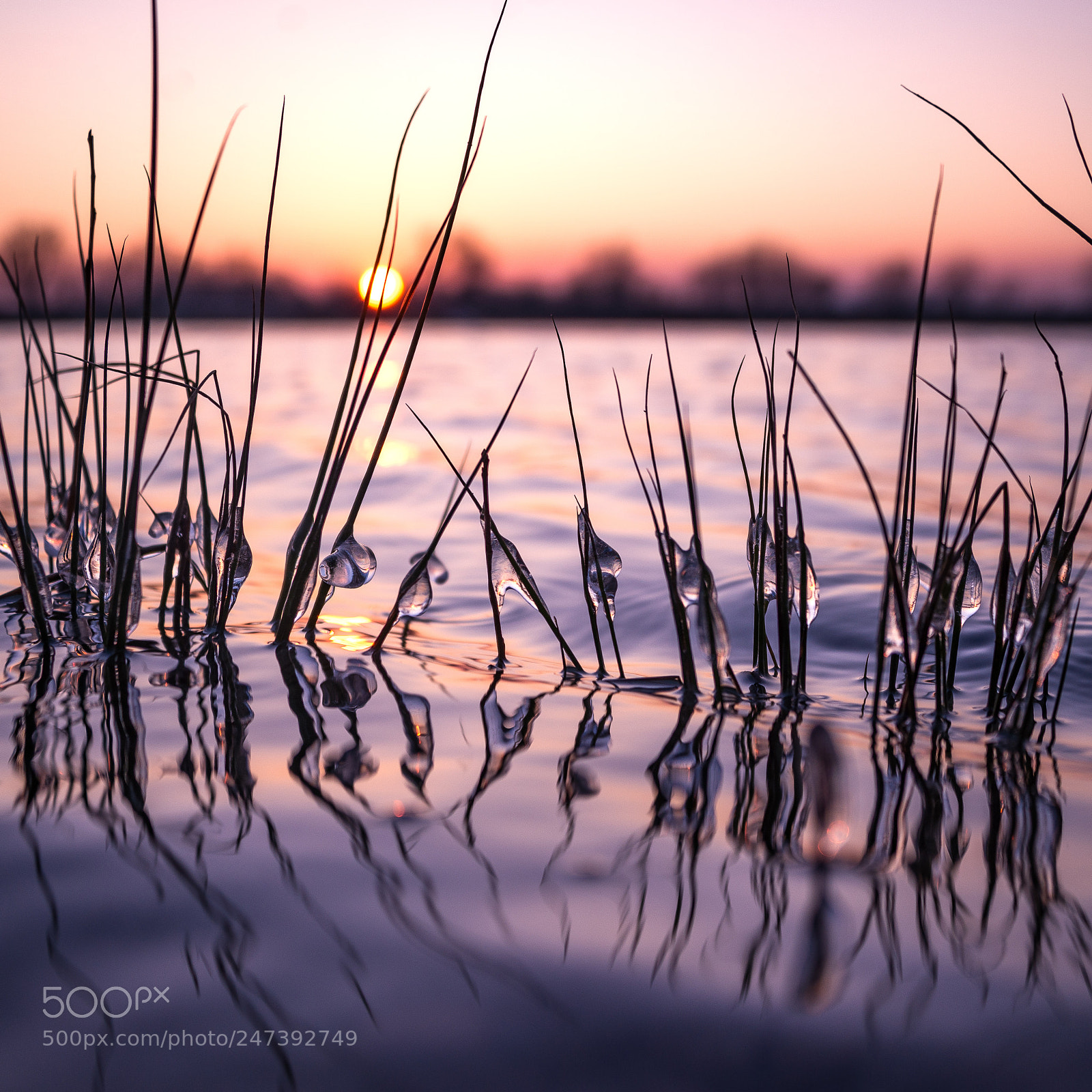 Nikon D610 sample photo. Romantic sunset in winter photography