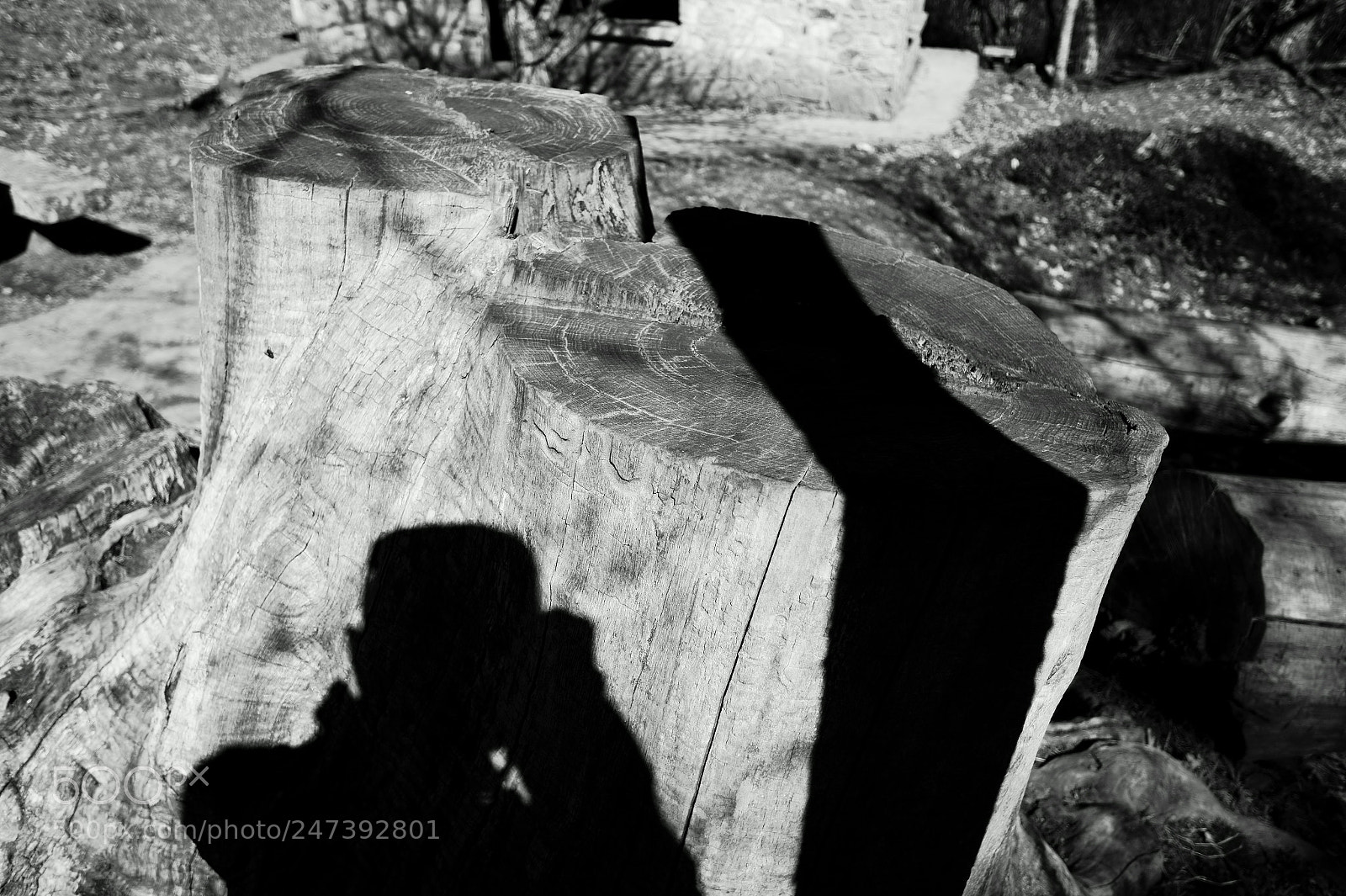 Sony SLT-A58 sample photo. Photographer. la honfria.linares.salamanca.spain photography