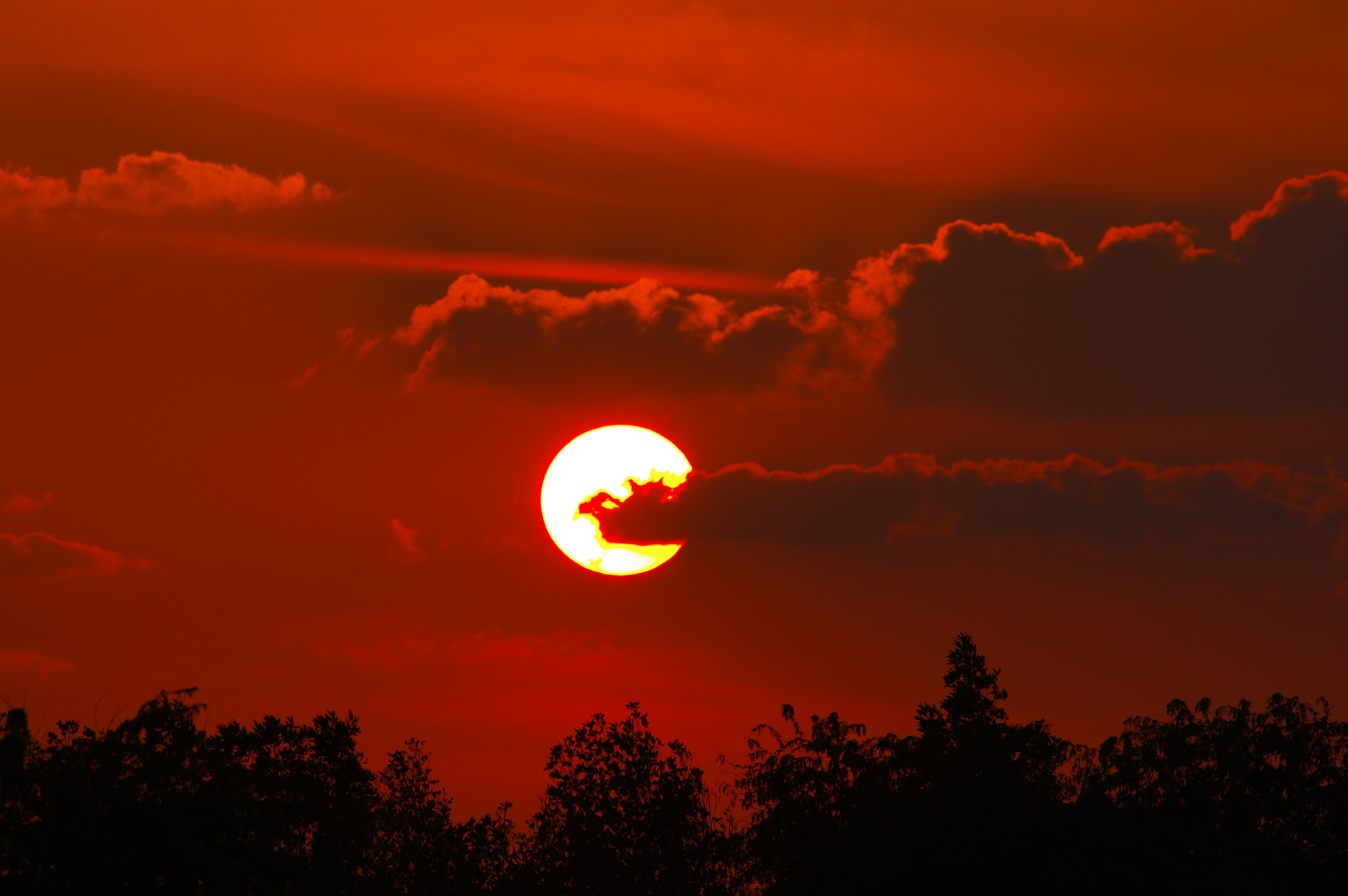 smc PENTAX-F* 300mm F4.5 ED[IF] sample photo. Sunset in kuwait desert ..1 .. photography