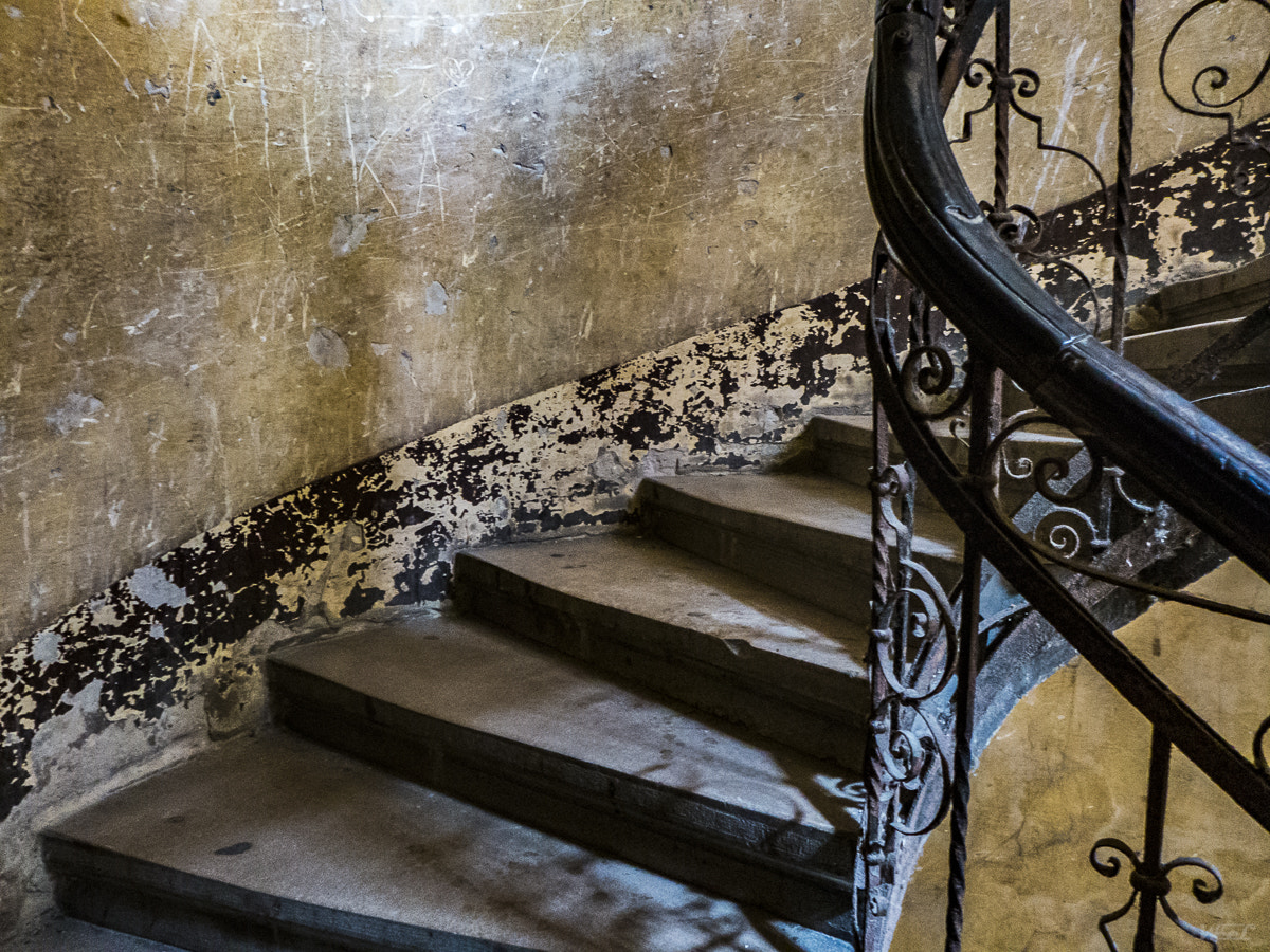 Leica D-Lux 6 sample photo. Stairway photography