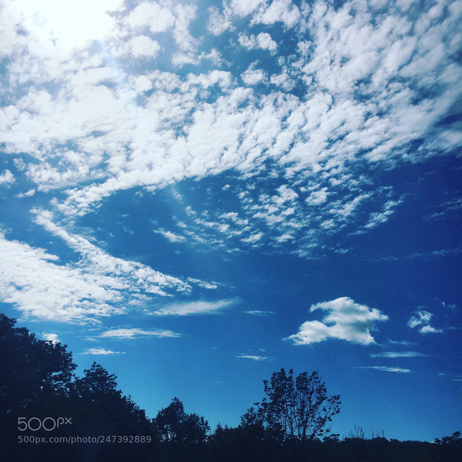 Apple iPhone 6s sample photo. Untitled photography