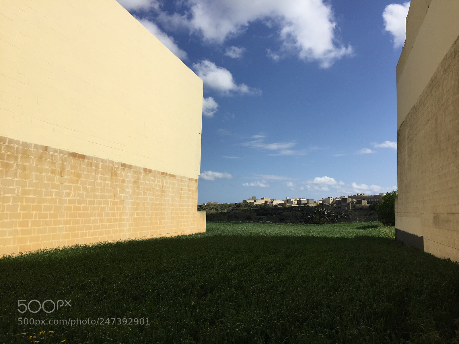 Apple iPhone 6 sample photo. Écran photography