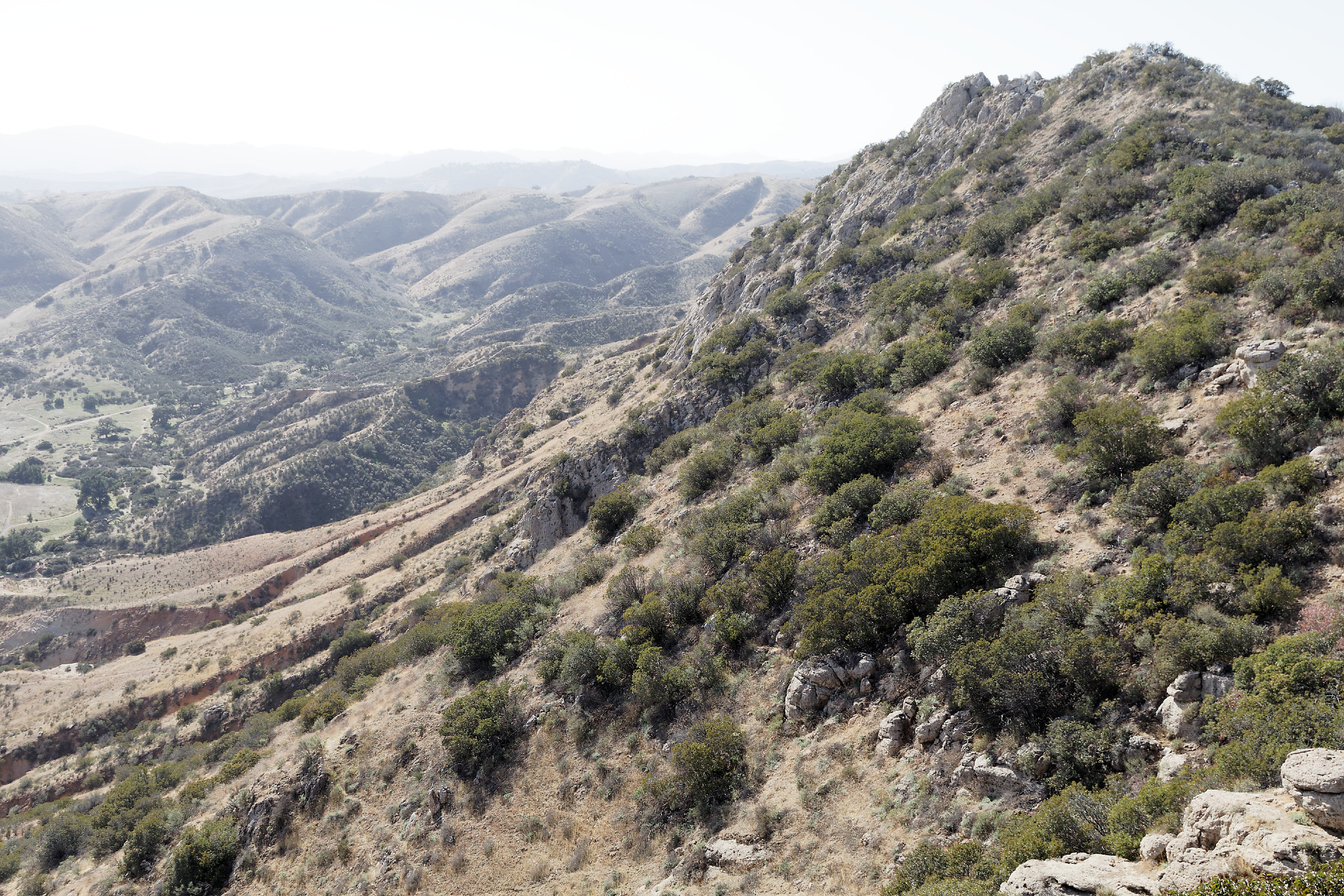 Canon EOS 80D + Canon EF 24-105mm F4L IS USM sample photo. Rolling hills photography