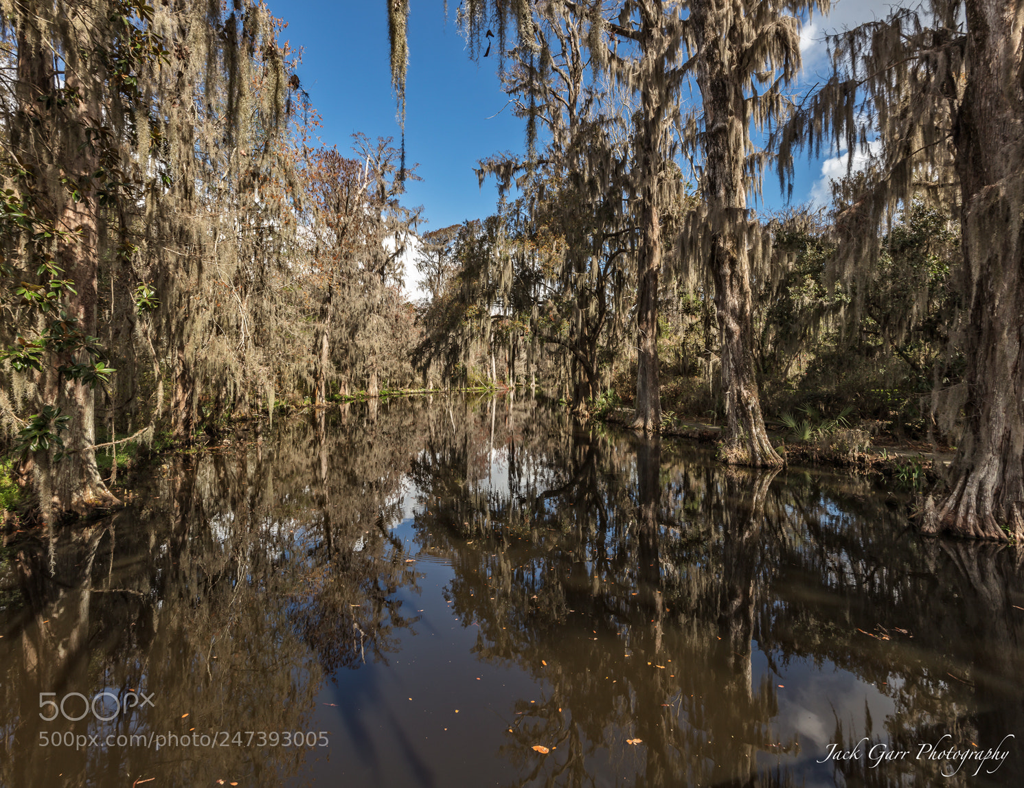 Canon EOS 5DS sample photo. Swamp reflection photography