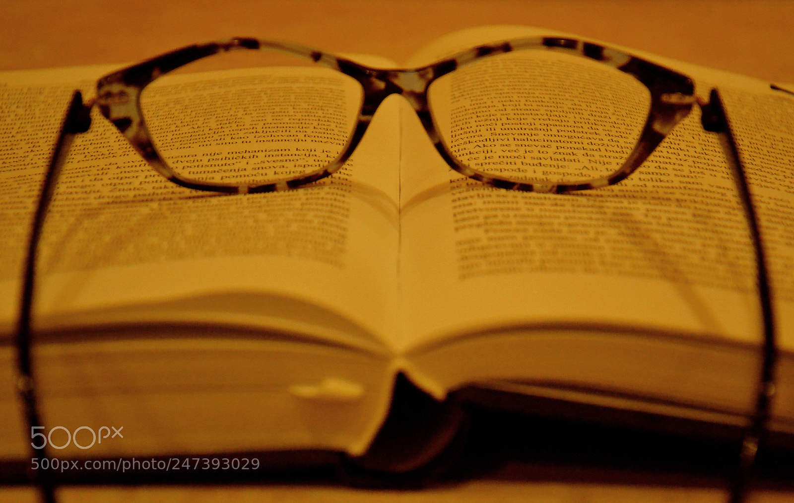 Nikon D3100 sample photo. - ∞ photography