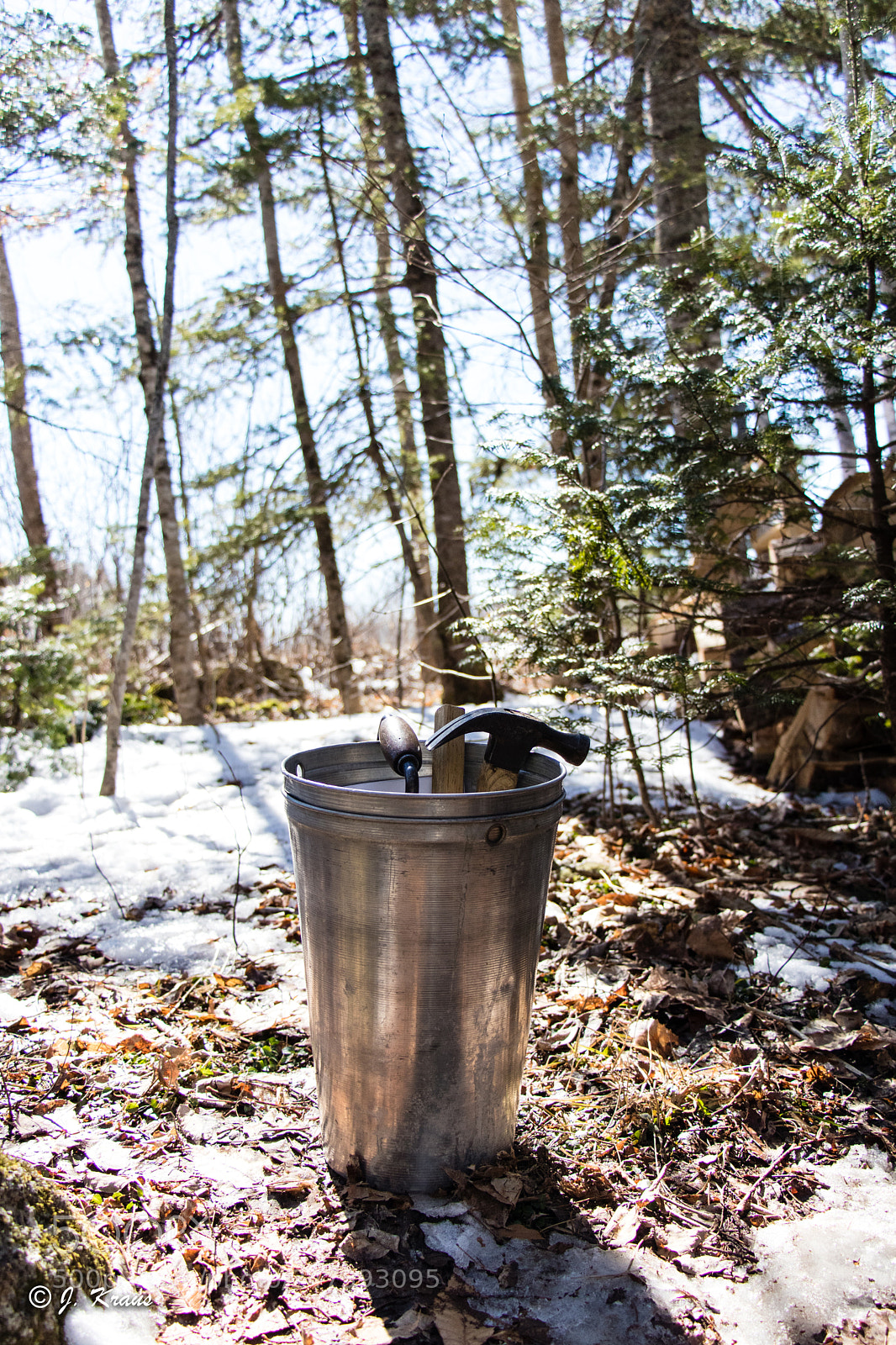 Canon EOS 80D sample photo. Maple harvest utilities photography