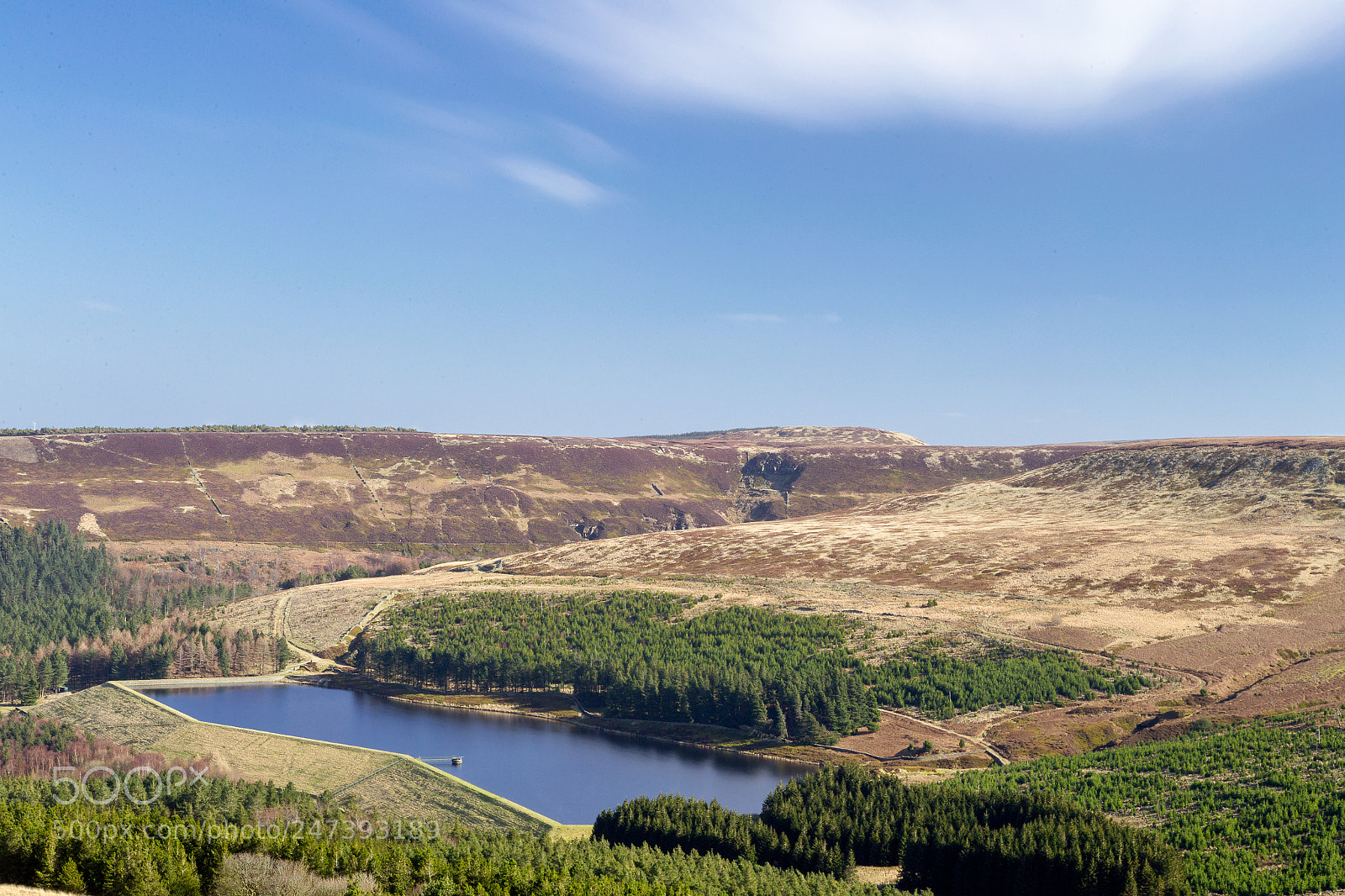Canon EOS-1D X sample photo. Holme moss photography
