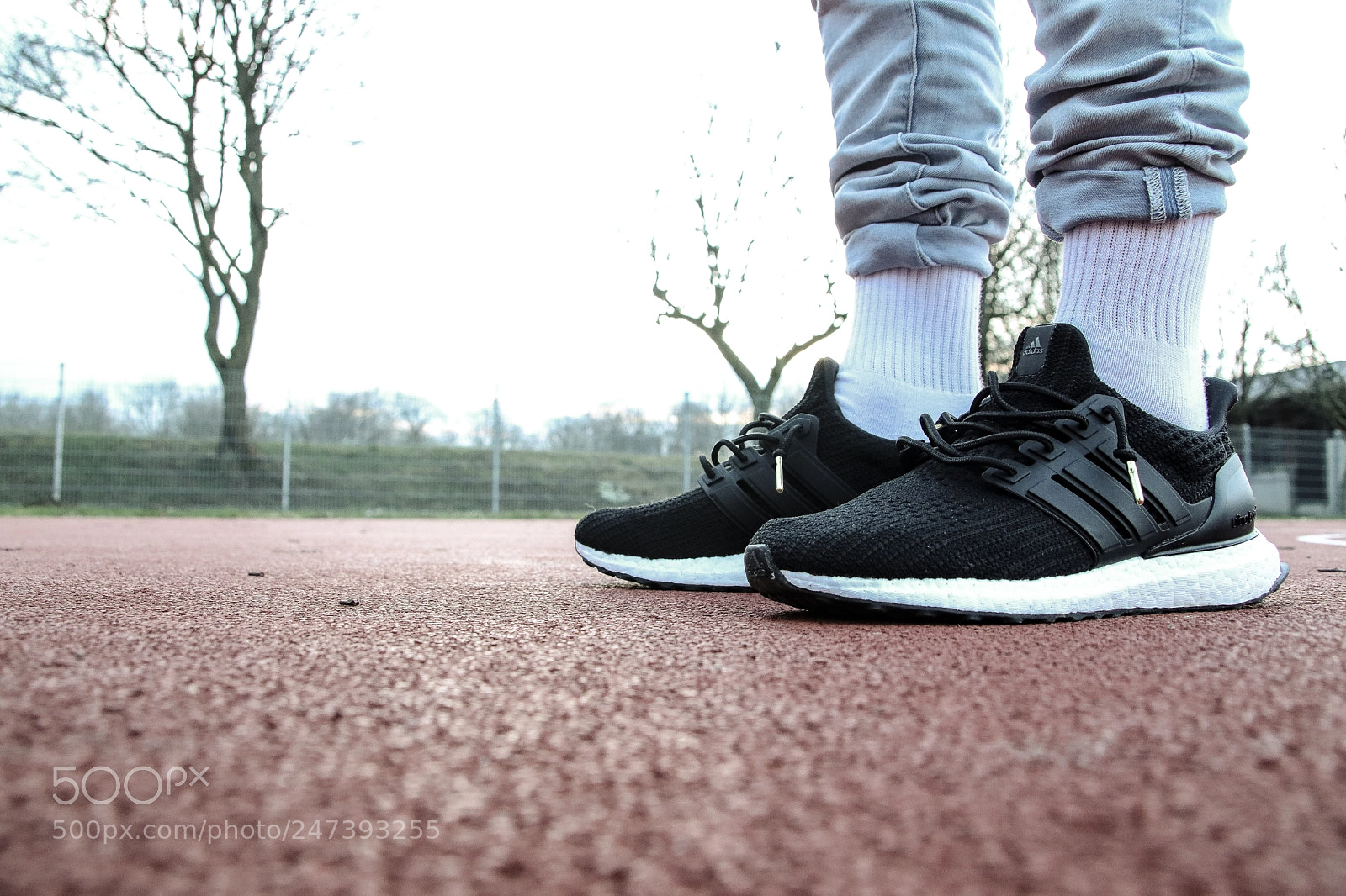 Canon EOS 77D (EOS 9000D / EOS 770D) sample photo. Adidas ultra boost 4.0 photography