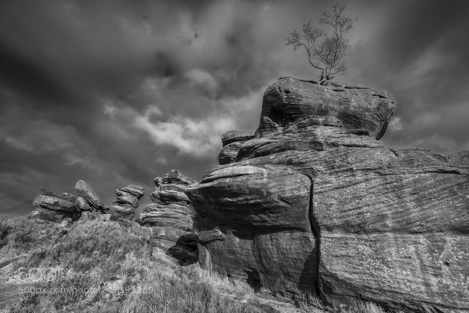 Sony a7R II sample photo. We will ... photography