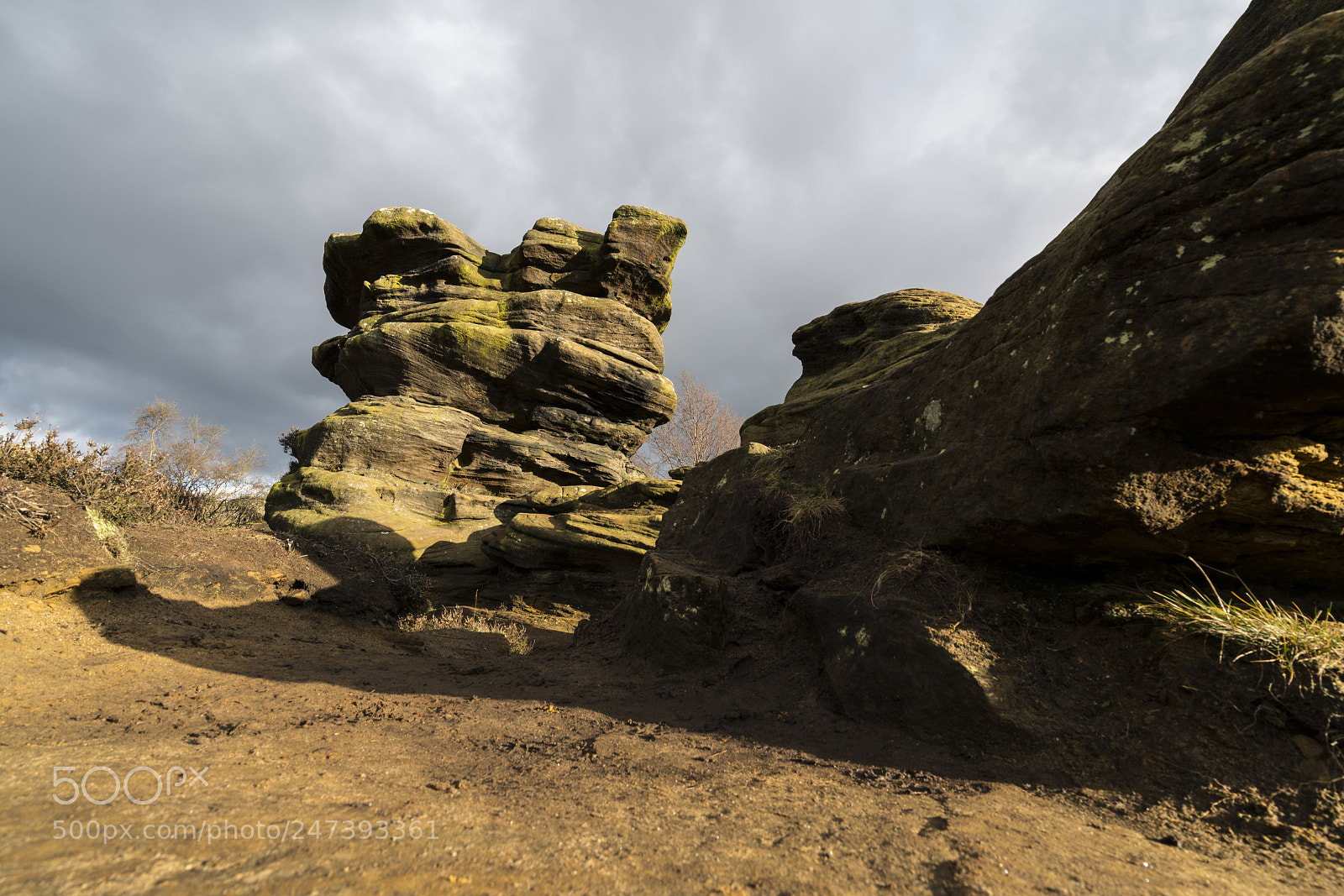 Sony a7R II sample photo. We will ... photography
