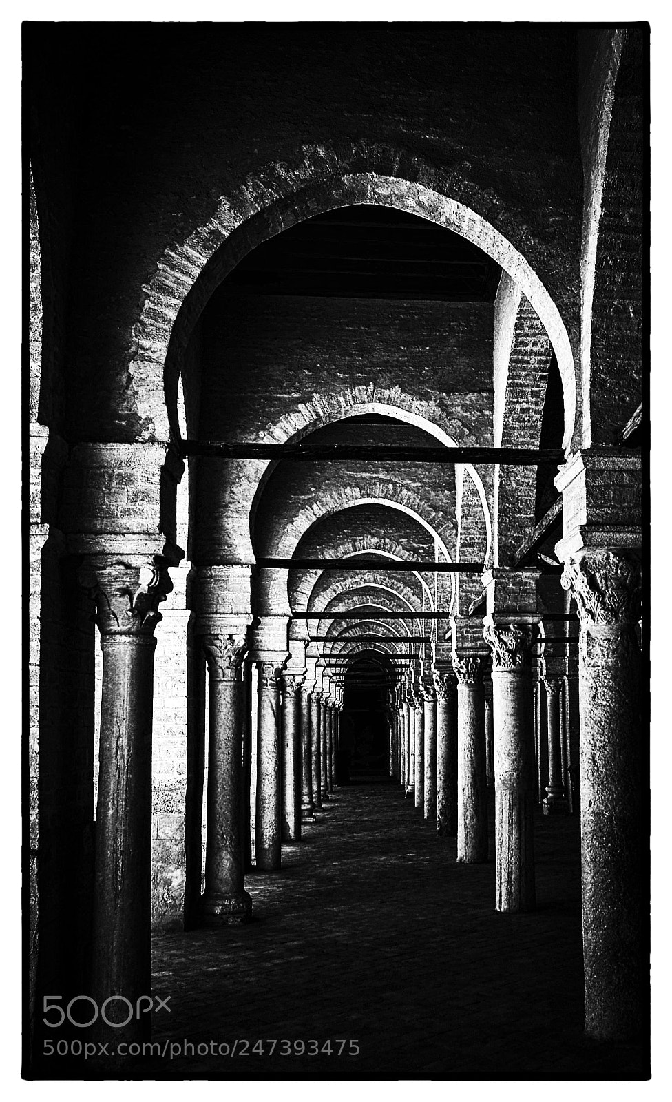 Nikon D800E sample photo. Colonnade, mosqu e oqba photography