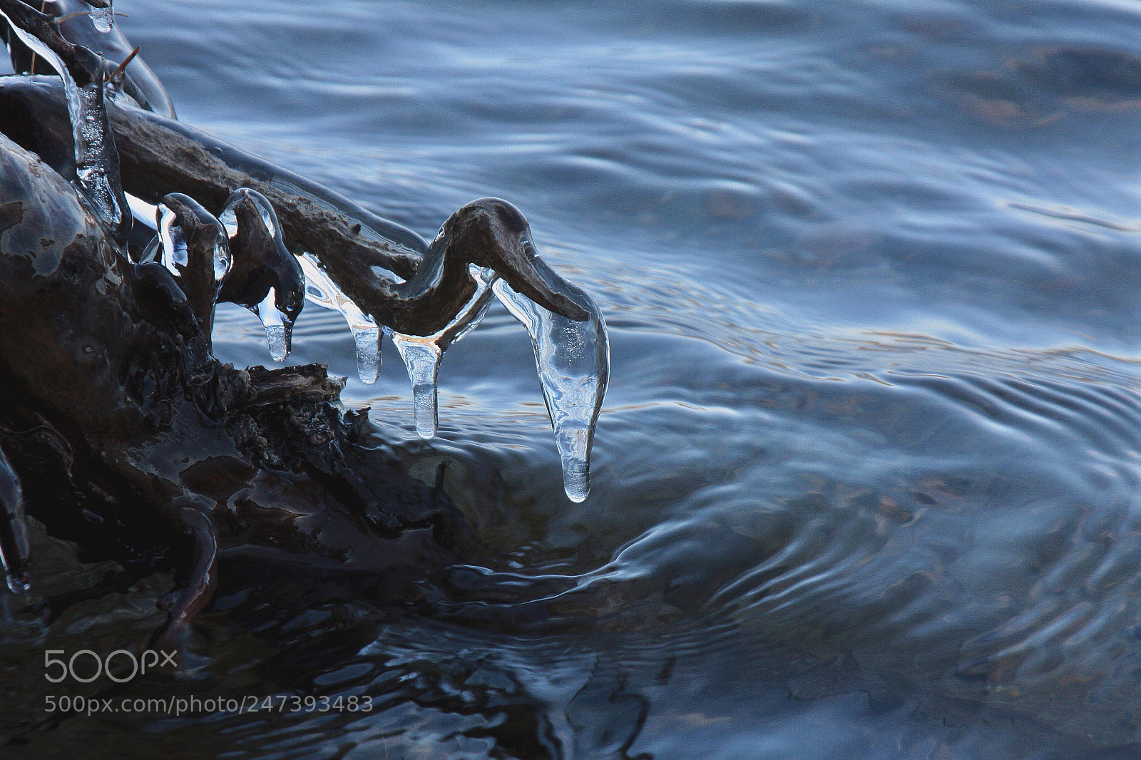 Canon EOS 40D sample photo. Icicles photography