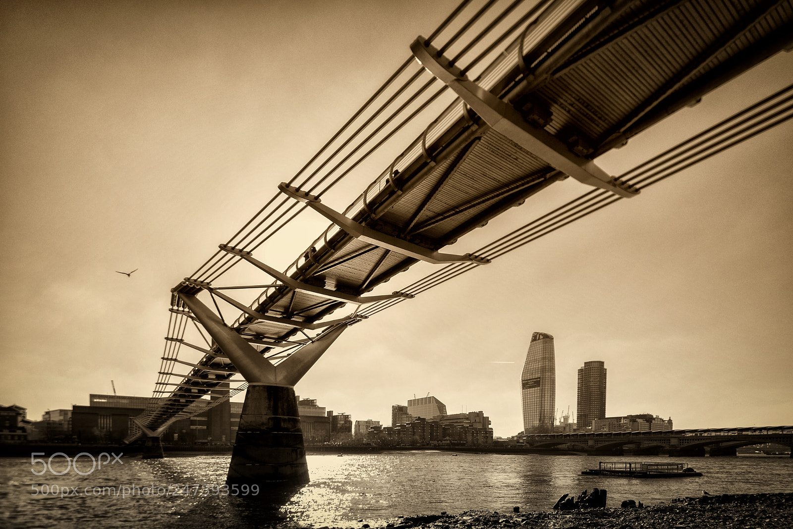 Nikon D800 sample photo. Millennium bridge london photography