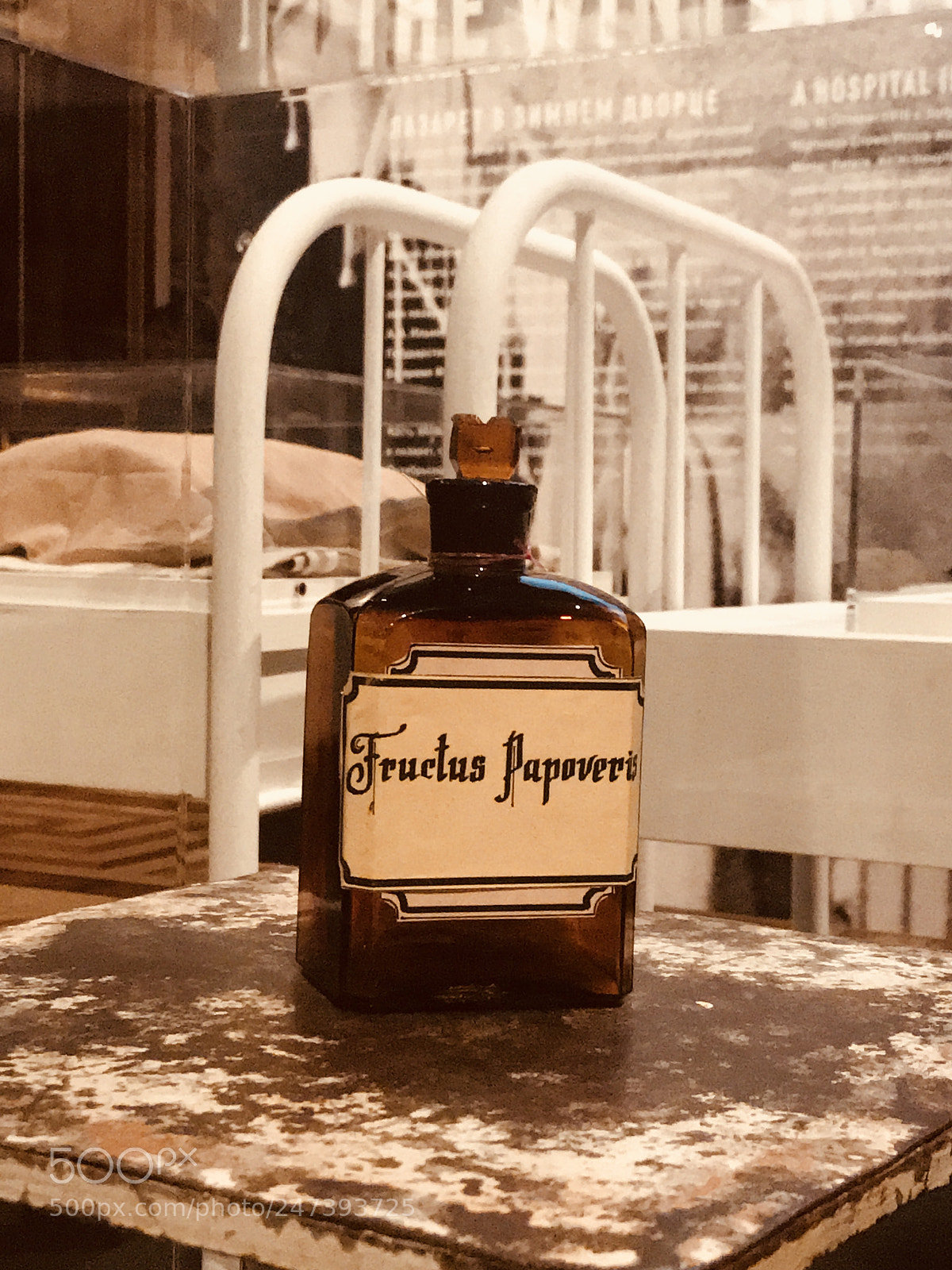 Apple iPhone 7 Plus sample photo. Untitled photography