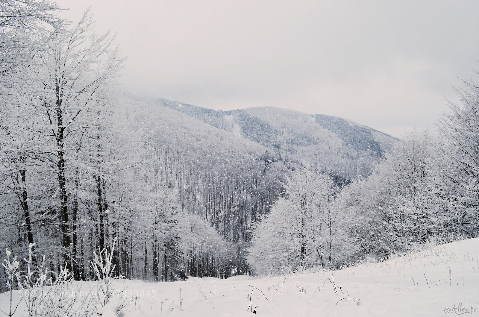 Nikon D5100 sample photo. Mountains in winter photography