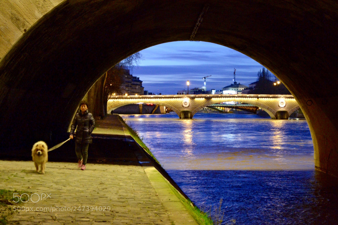 Nikon D3100 sample photo. Lonesome walk photography