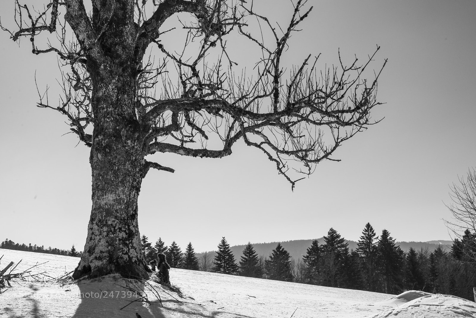 Nikon D610 sample photo. Col du brabant photography
