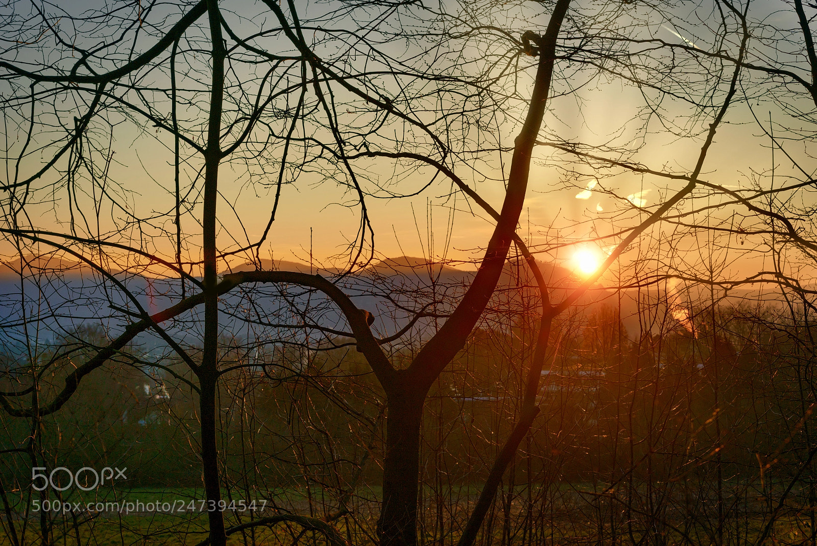 Sony a7 II sample photo. Morning light photography