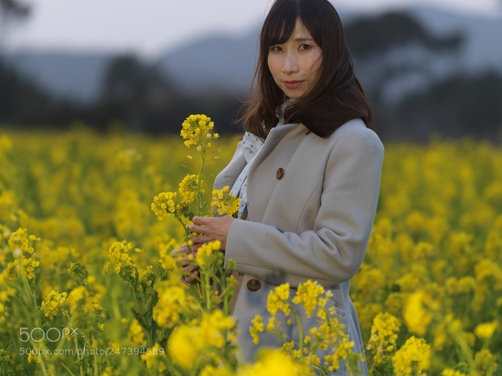 Hasselblad X1D-50c sample photo. Early spring even in photography