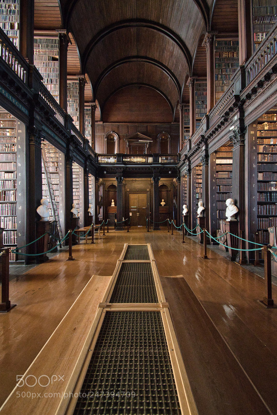 Nikon D500 sample photo. Long room photography