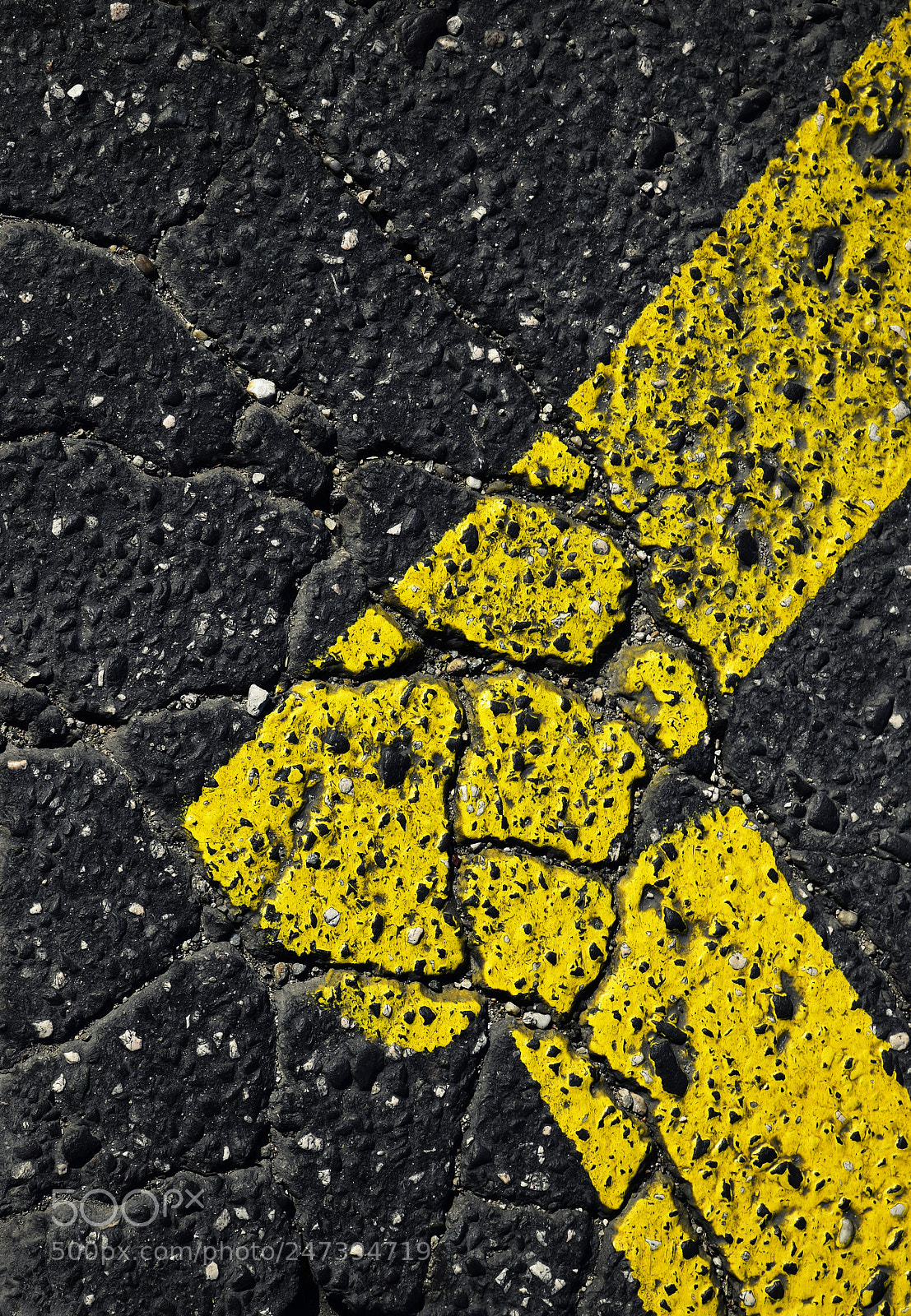 Nikon D5500 sample photo. Yellow line on asphalt photography