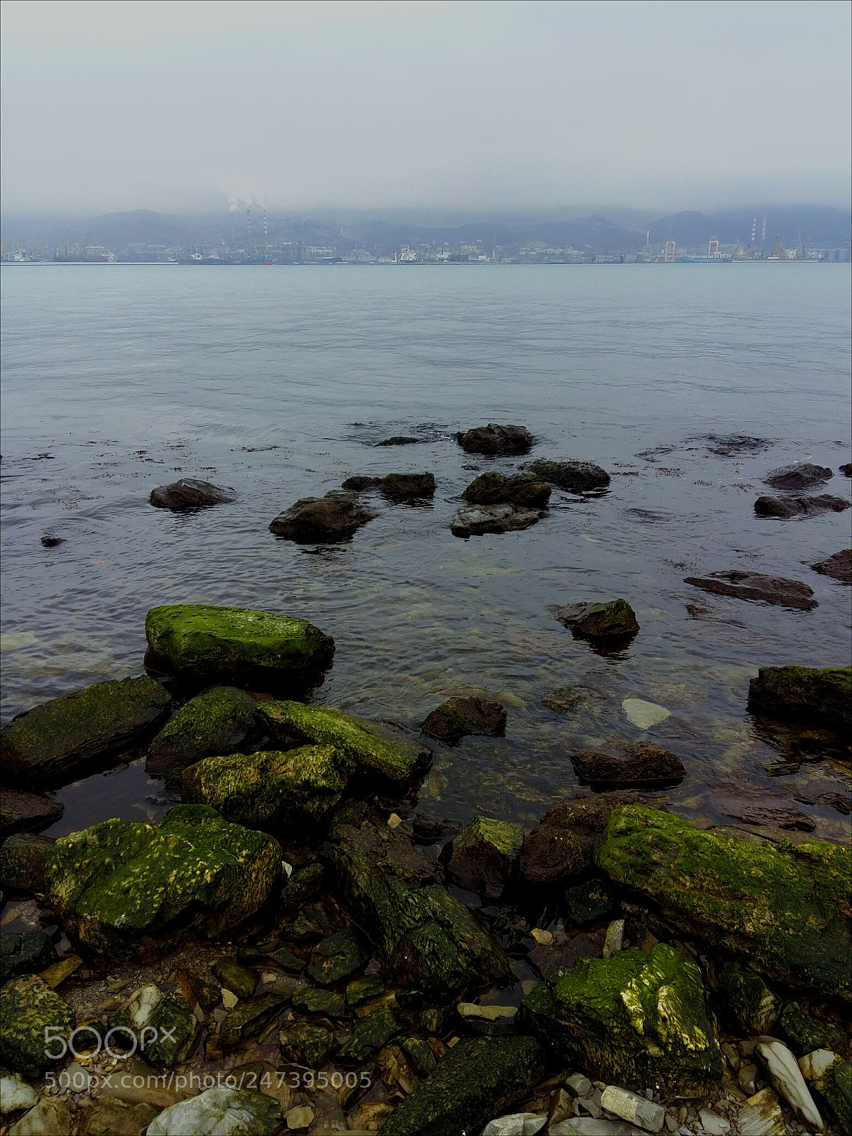 Samsung Galaxy A5 sample photo. Untitled photography
