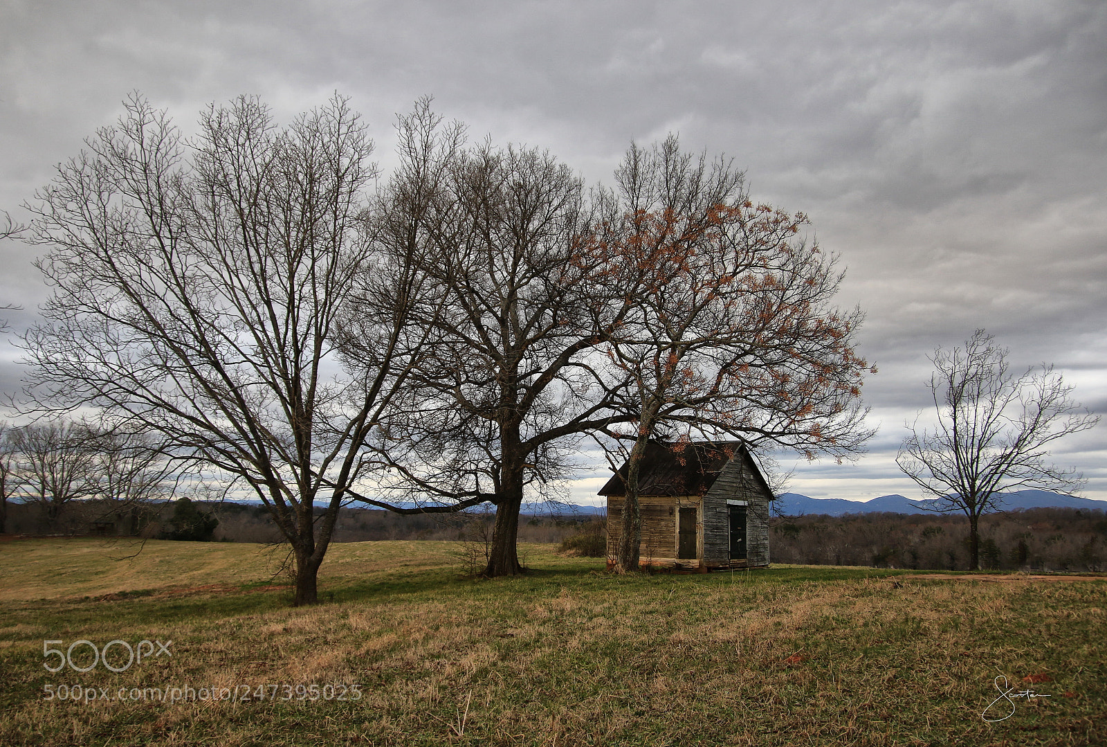 Canon EOS 7D Mark II sample photo. This sums up february! photography