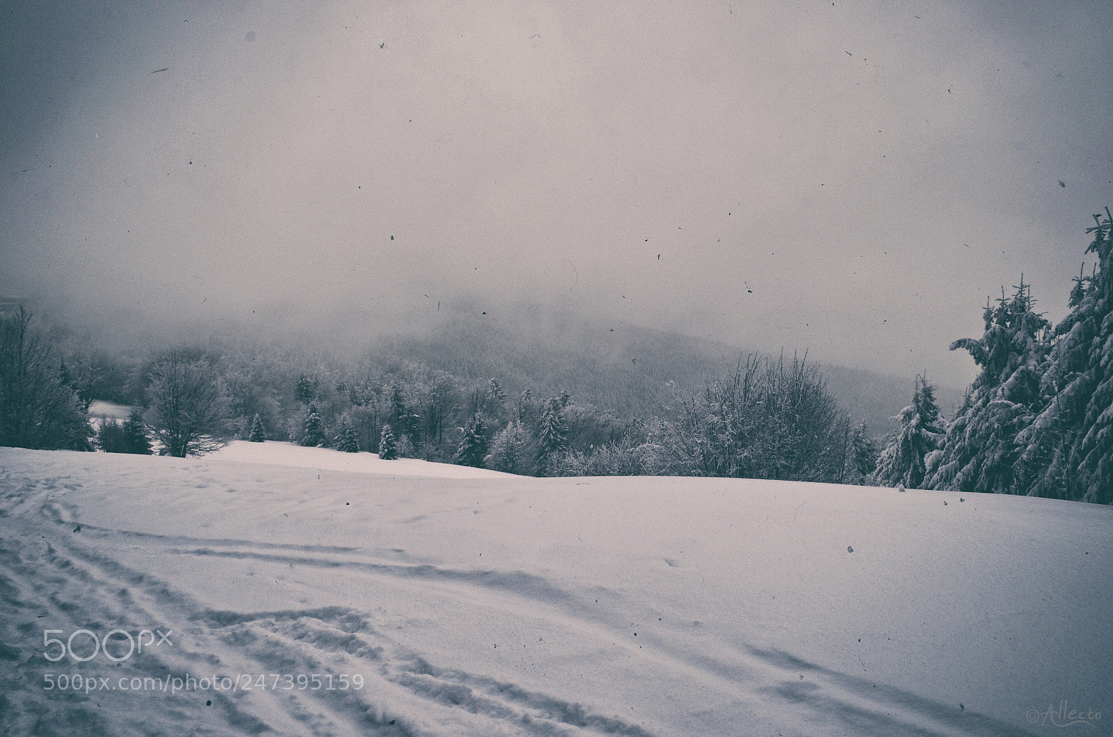 Nikon D5100 sample photo. Snow in the air photography