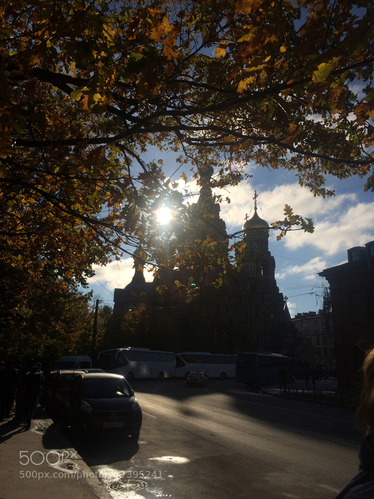 Apple iPhone 5s sample photo. Untitled photography