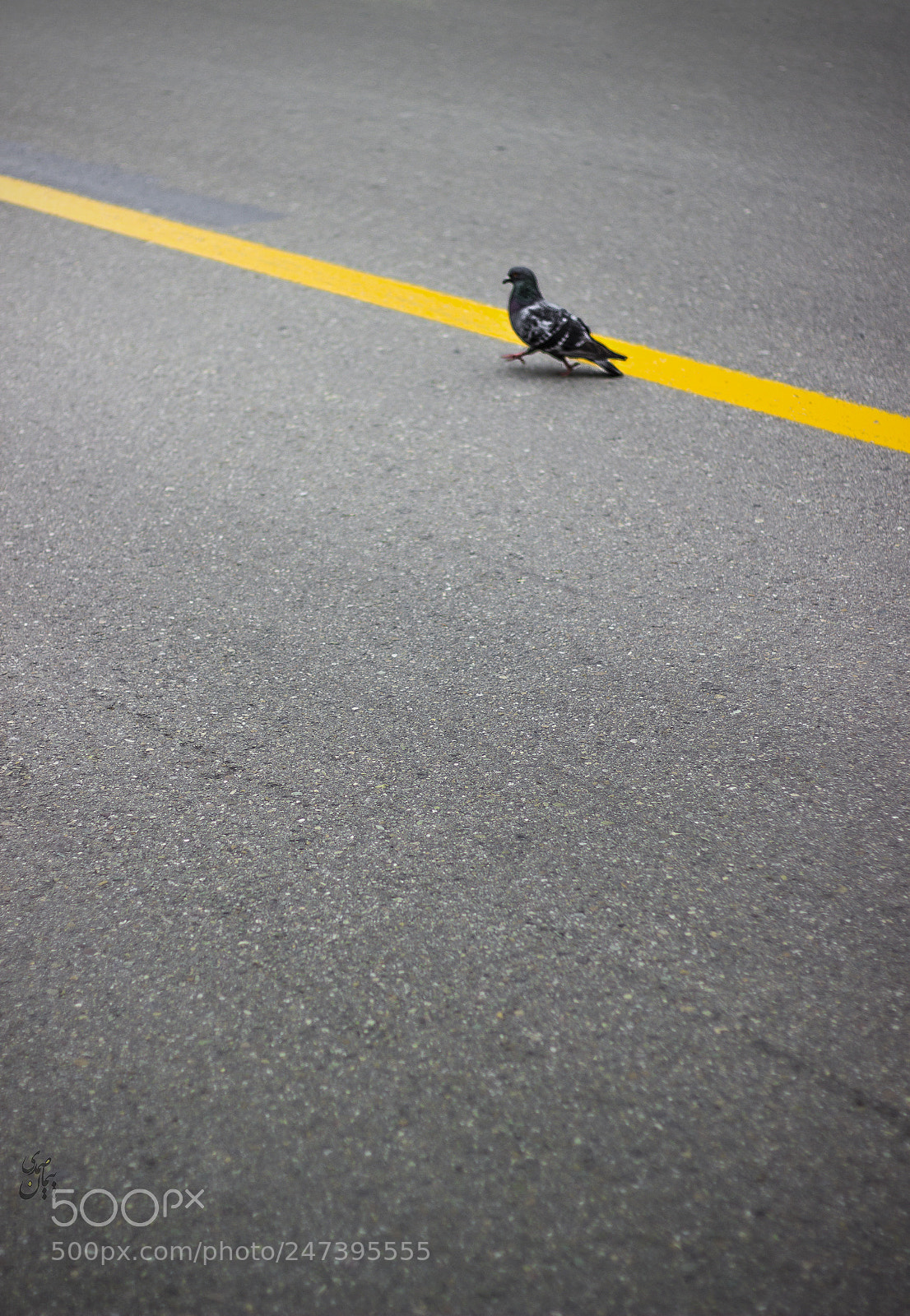 Canon EOS 600D (Rebel EOS T3i / EOS Kiss X5) sample photo. Move forward photography