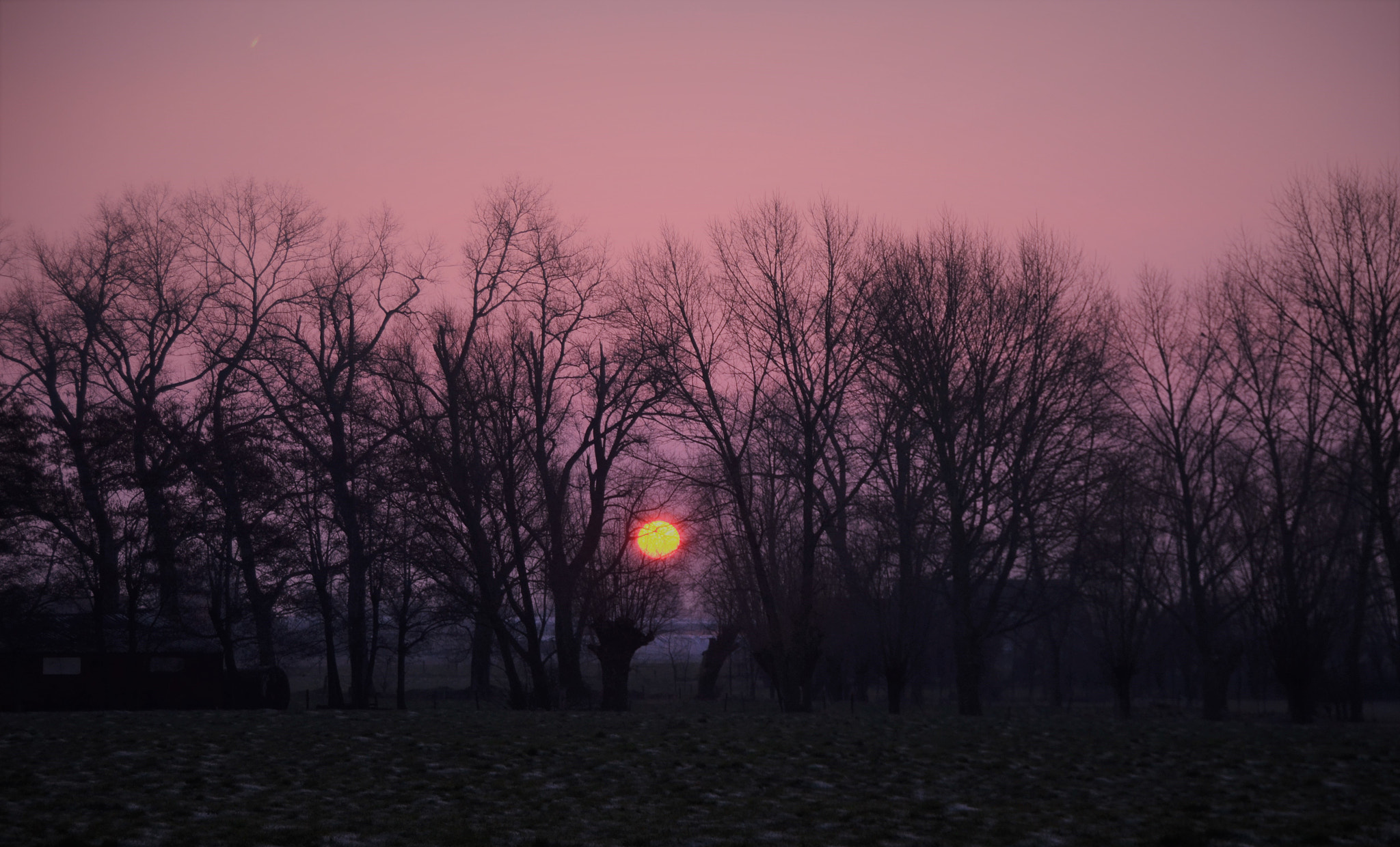 Nikon D7000 + Tamron 18-270mm F3.5-6.3 Di II VC PZD sample photo. Pink sunrise photography