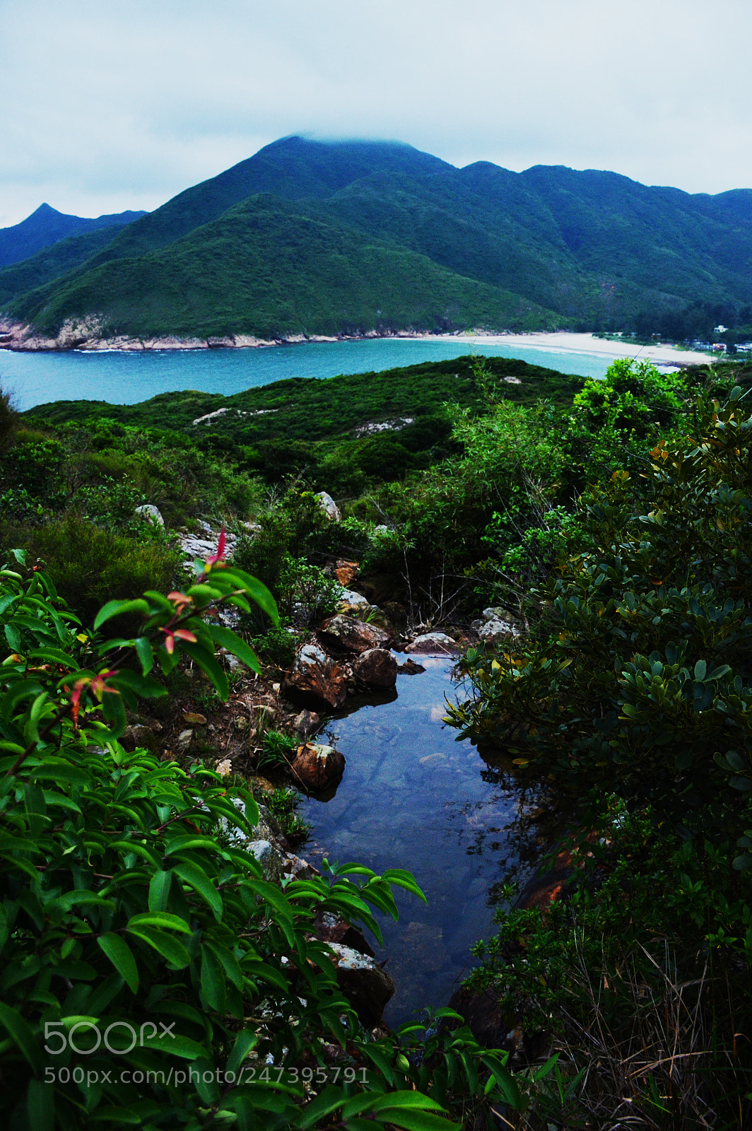 Nikon D5100 sample photo. Bassin tai long wan' photography