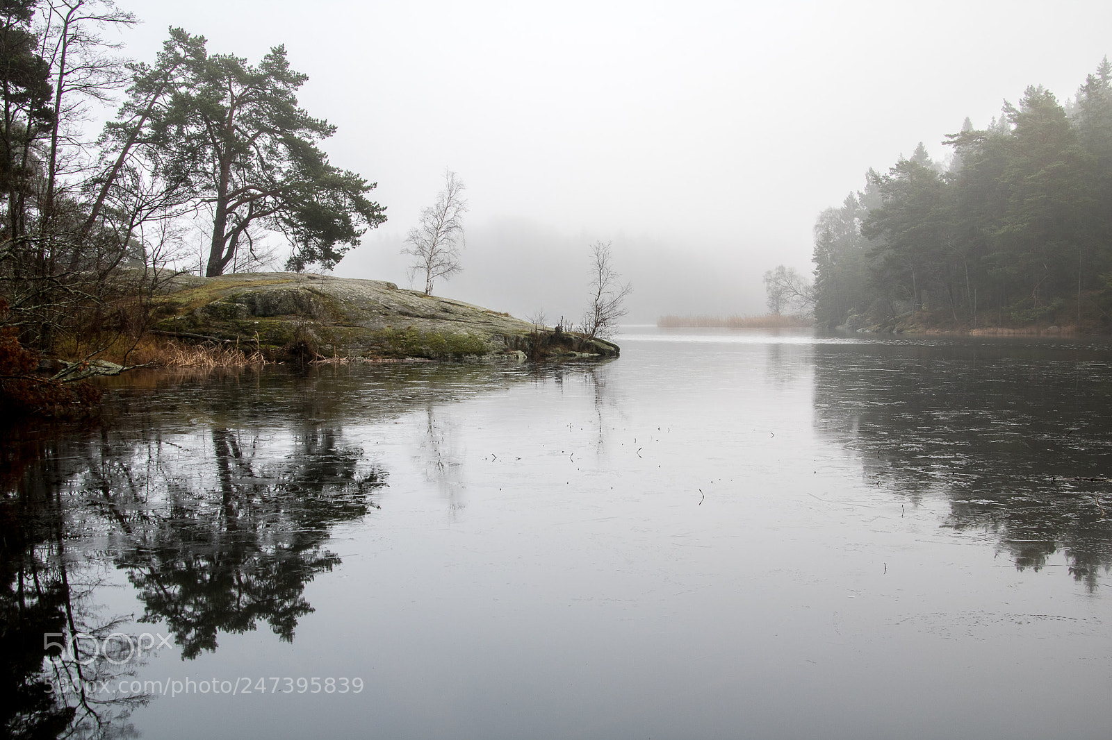 Canon EOS 760D (EOS Rebel T6s / EOS 8000D) sample photo. Tyresö photography