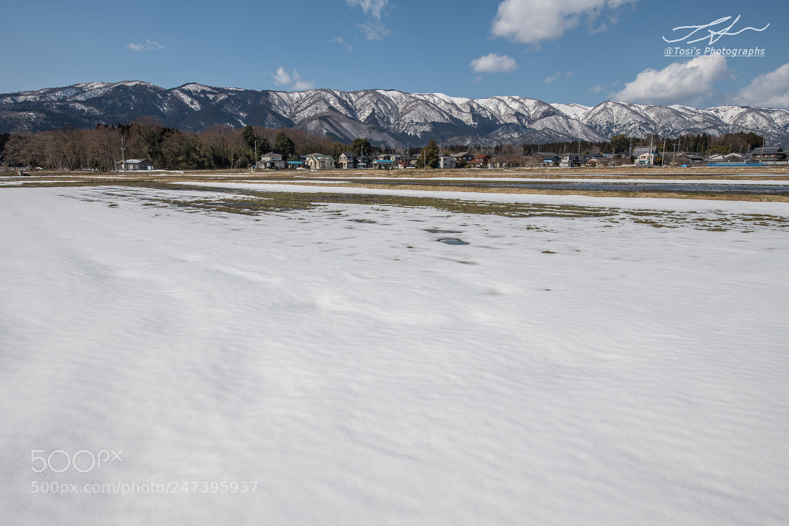 Nikon D850 sample photo. Early spring photography